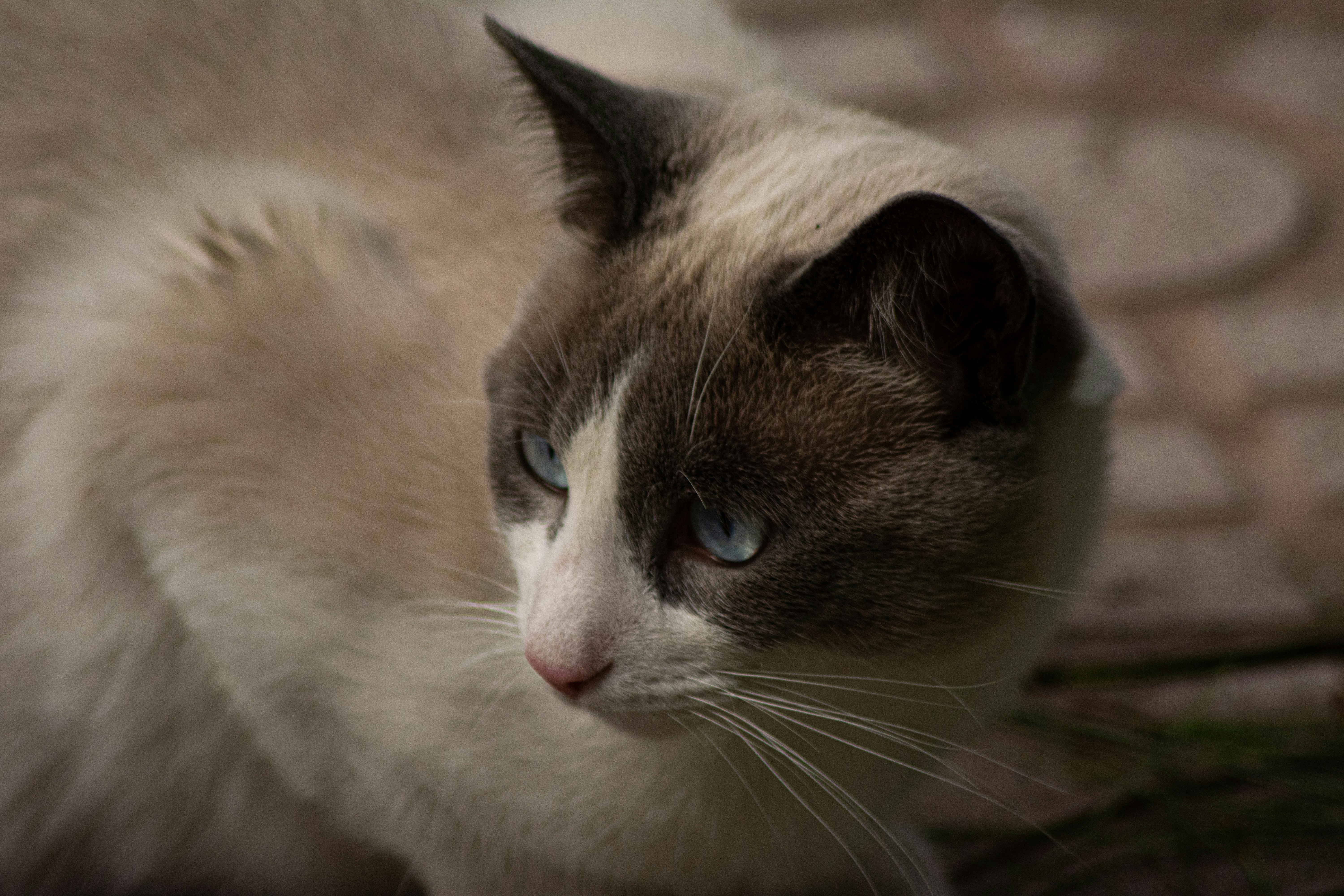 Photo by m_e_r_a__20_