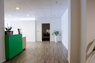 A modern indoor space with a wooden floor and a green reception desk on the left. Two large potted plants are present, one on the desk and another in the background. The walls are white, and the ceiling has recessed lighting panels. There is an open doorway leading to another room.