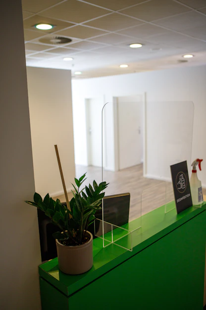 a green counter with a potted plant on top of it