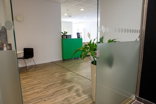 a room with a plant in the corner of the room
