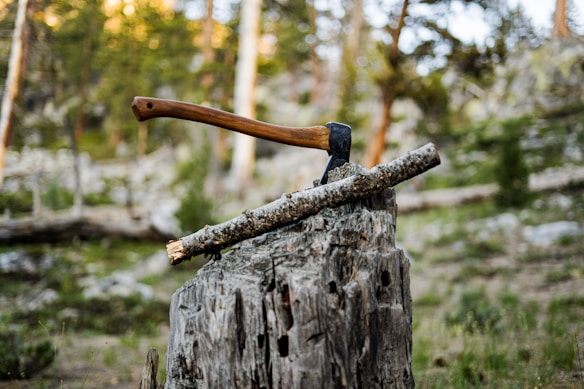 An axe is embedded in a tree stump with a small log balanced on top, set in a forest background. The surroundings are lush with greenery and blurred trees, suggesting a dense, natural environment.