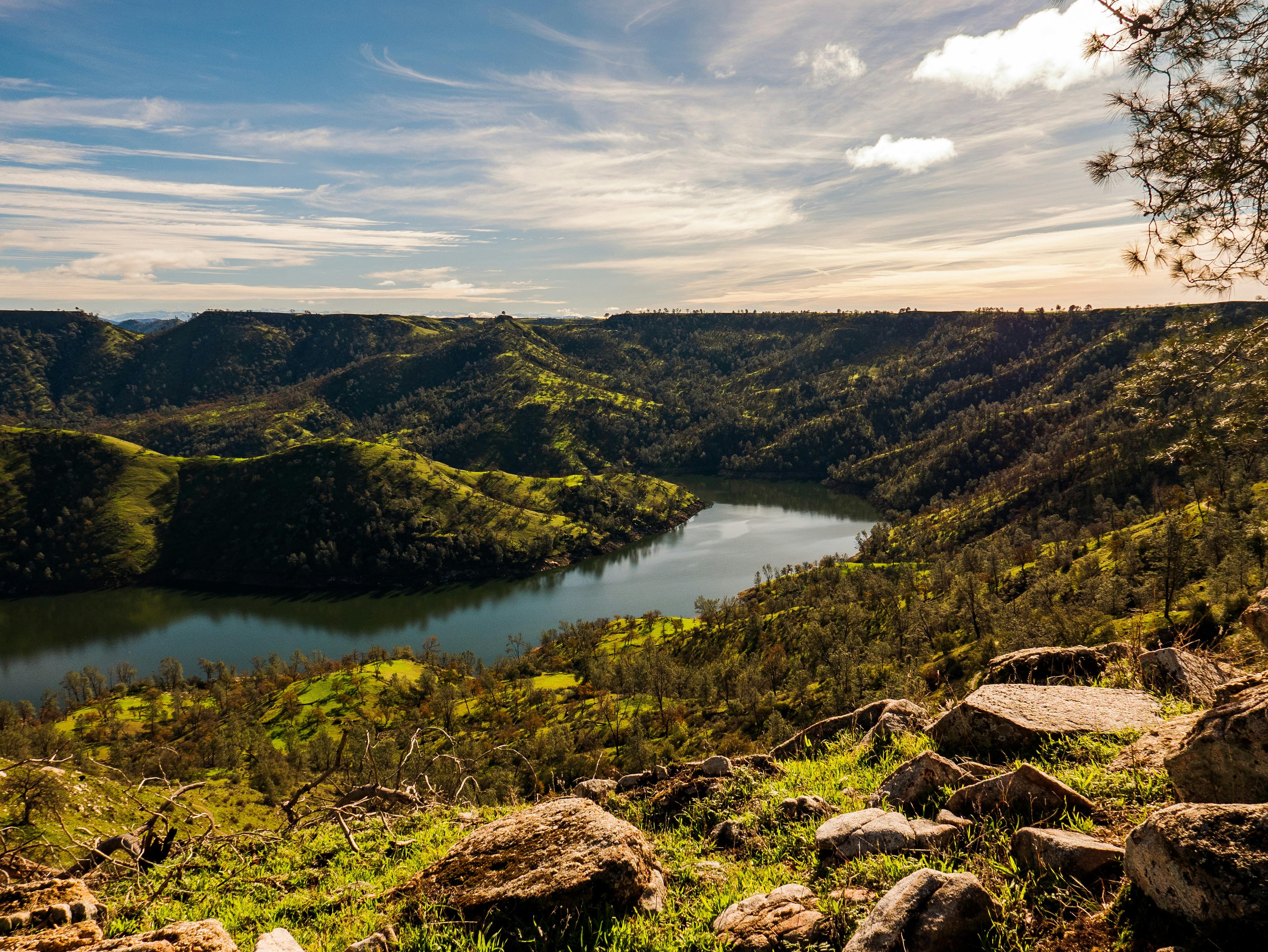 Photo by cadendrysdale