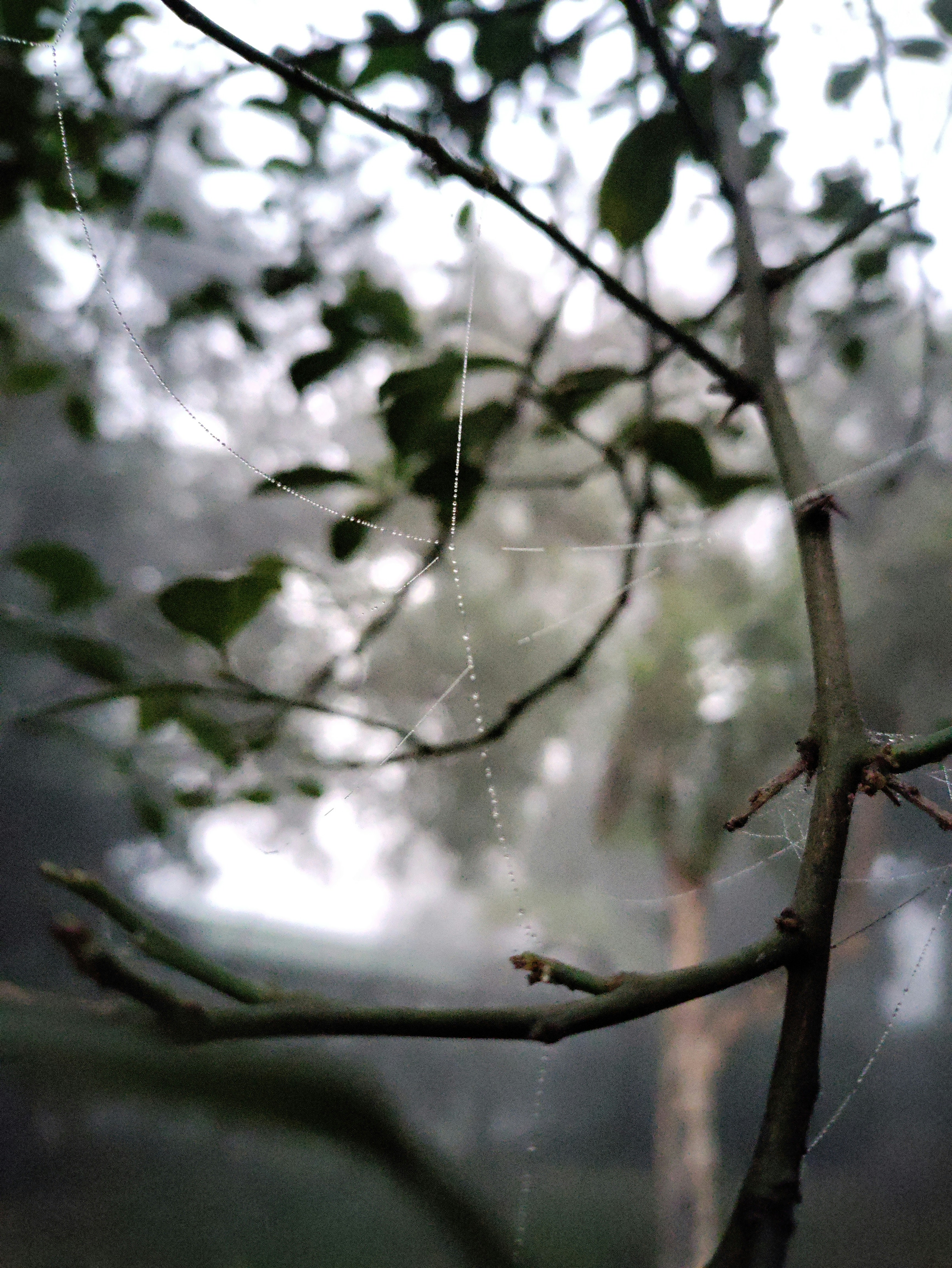 Photo by pranjalsingh