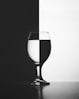 a black and white photo of a wine glass