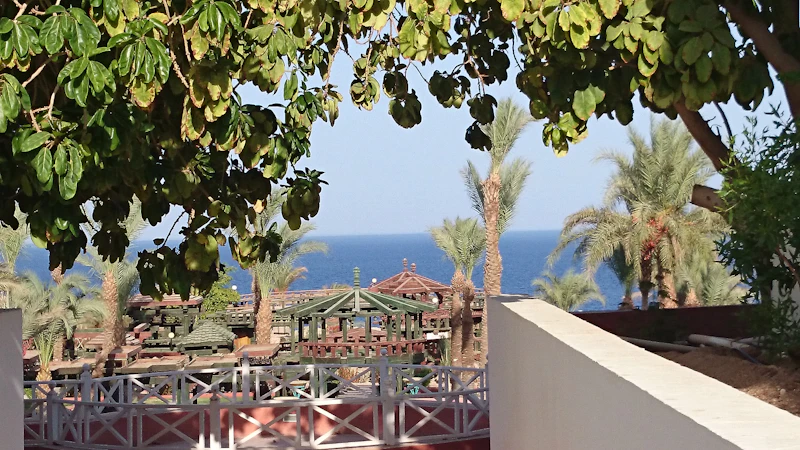 Best Rooftop Cafes in Sharm El Sheikh With Views Worth the Climb