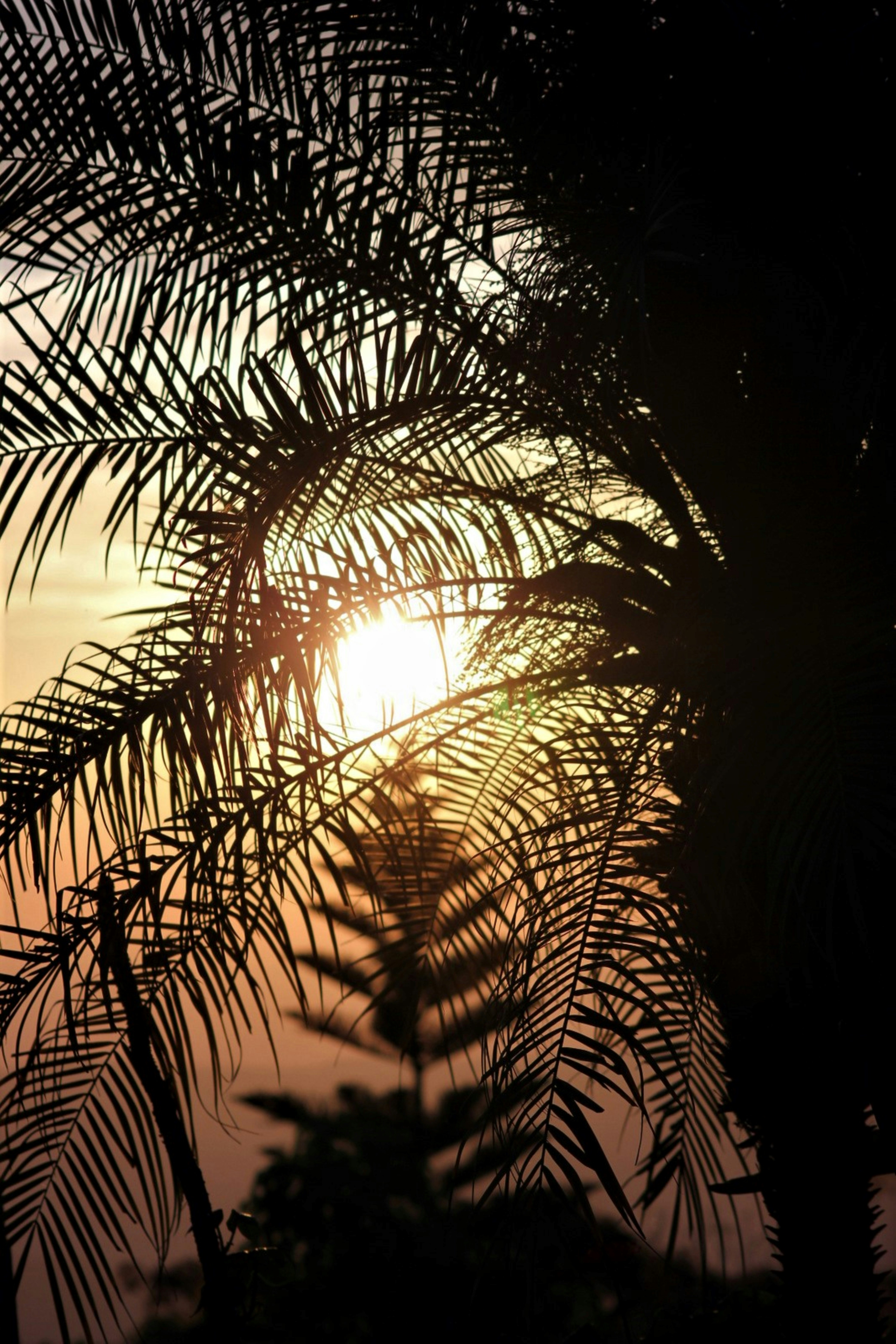 Photo by craigmanners_com