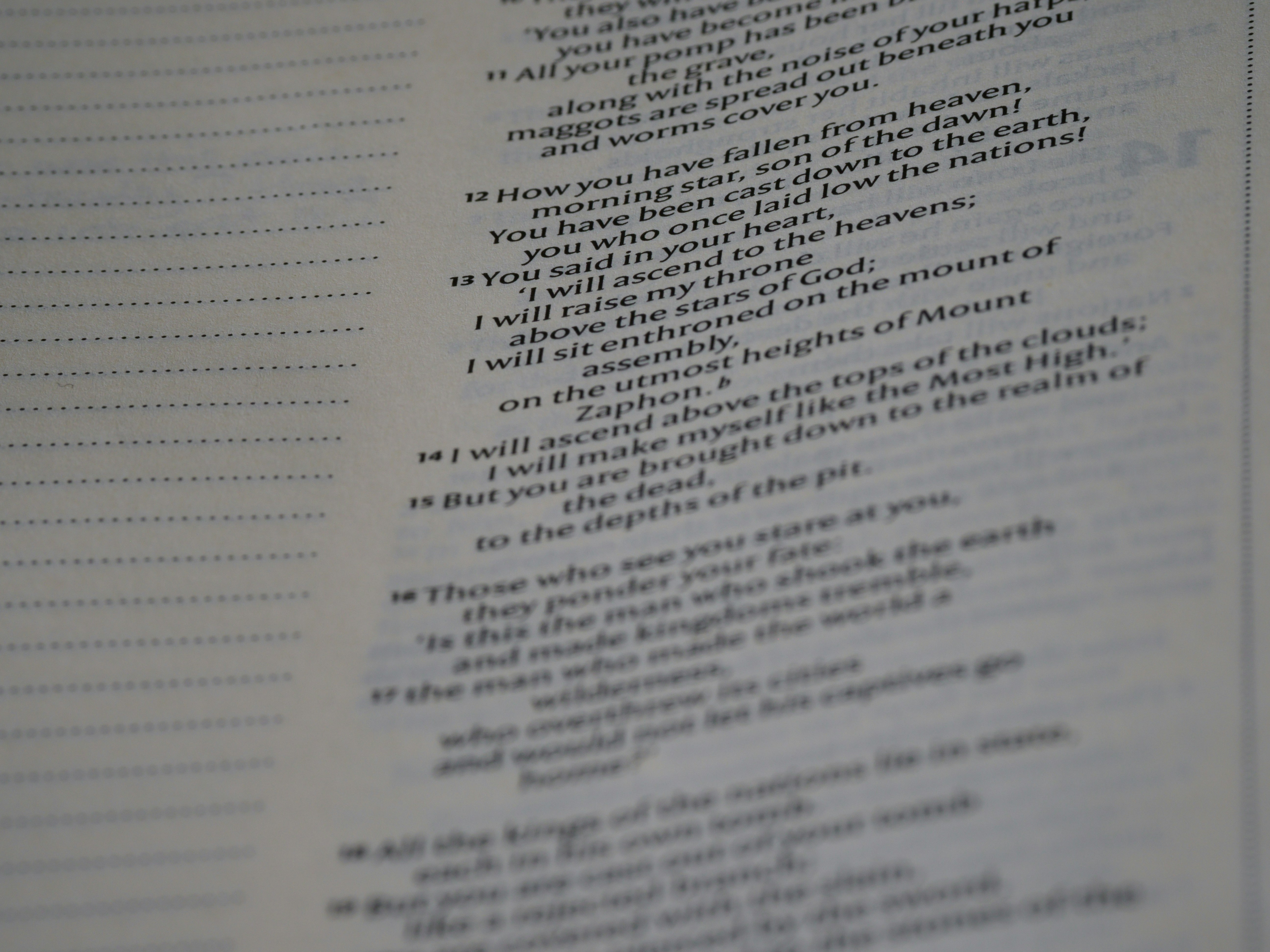 Photo by brett_jordan