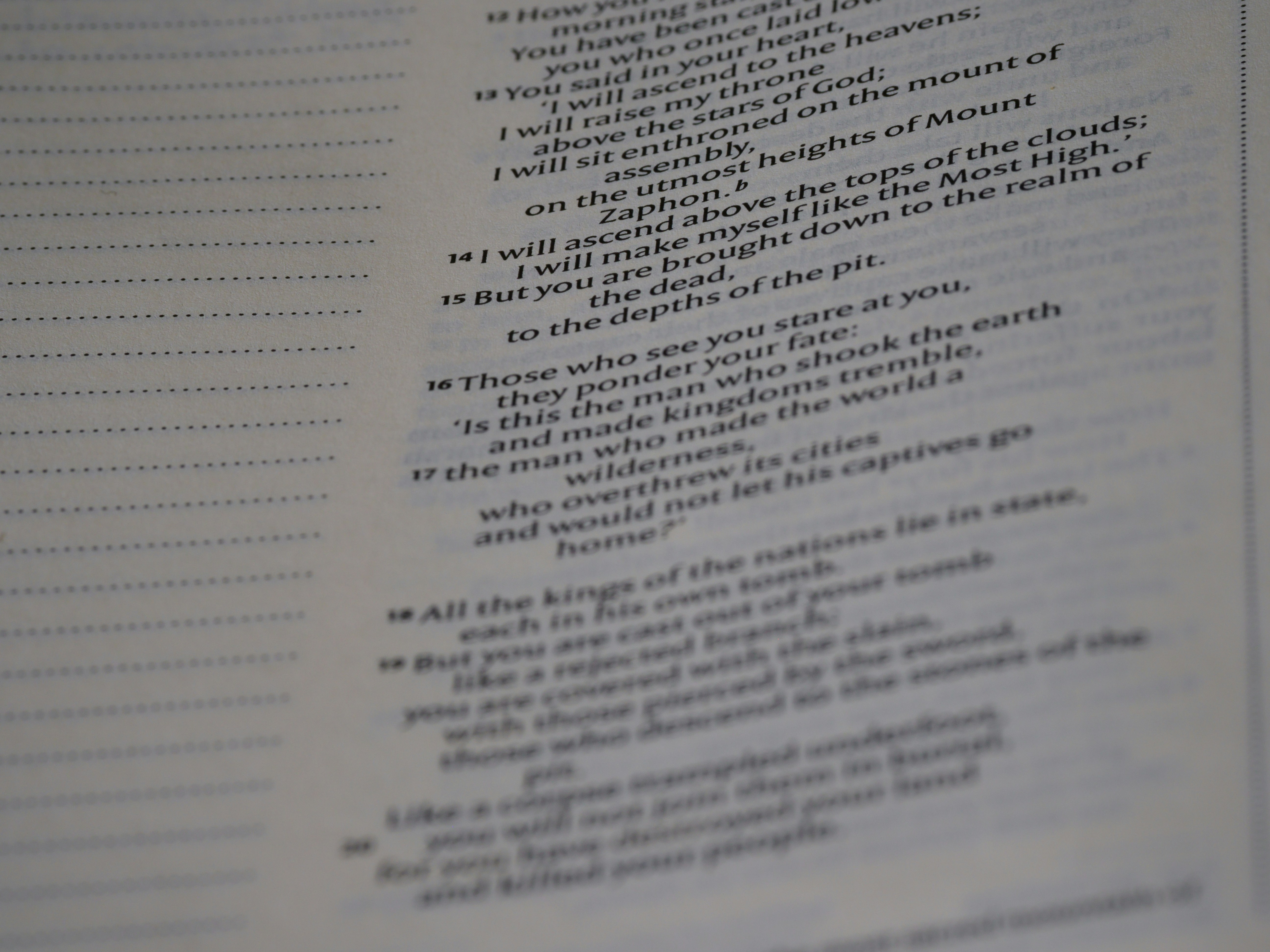 Photo by brett_jordan