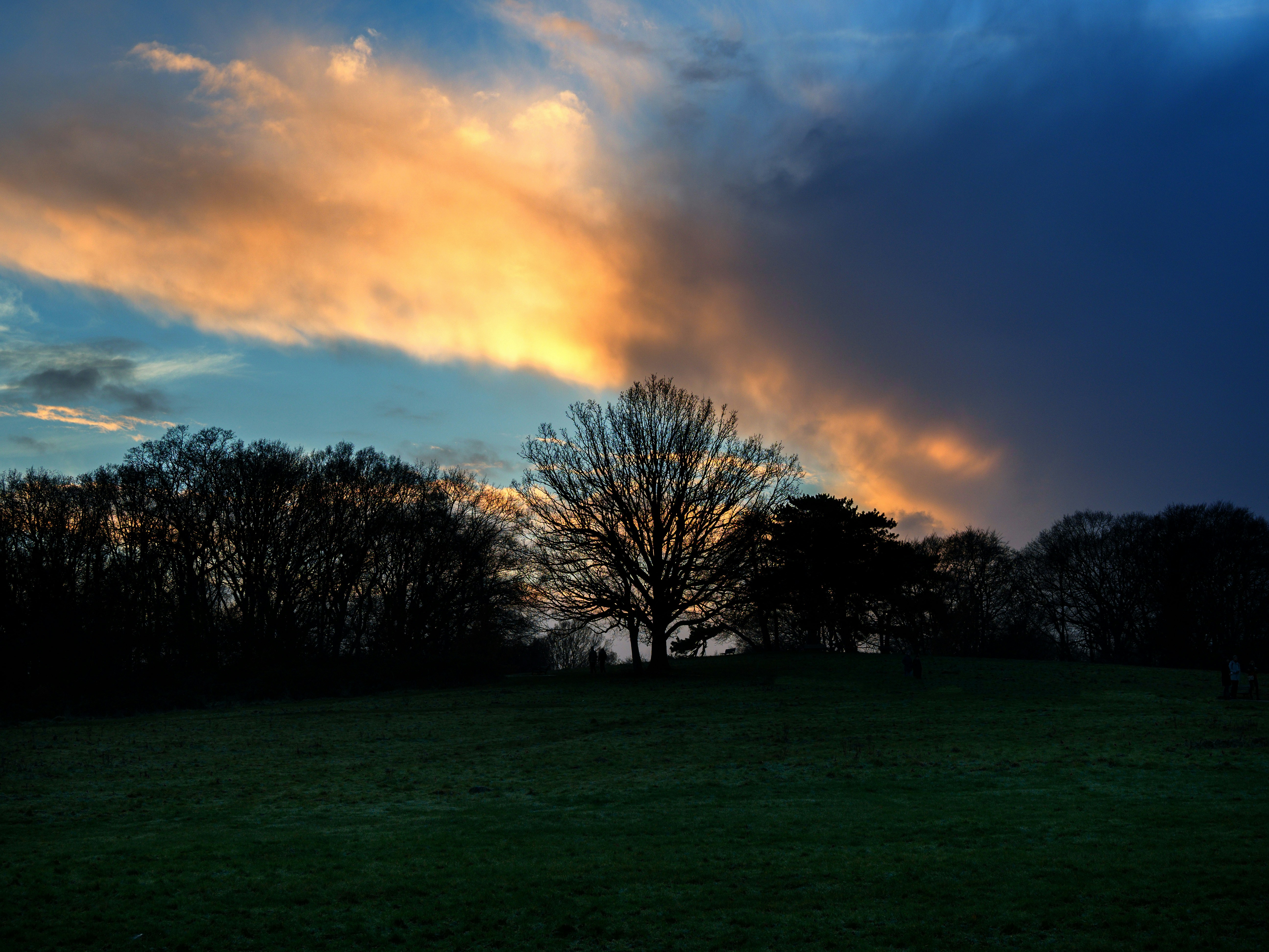 Photo by brett_jordan