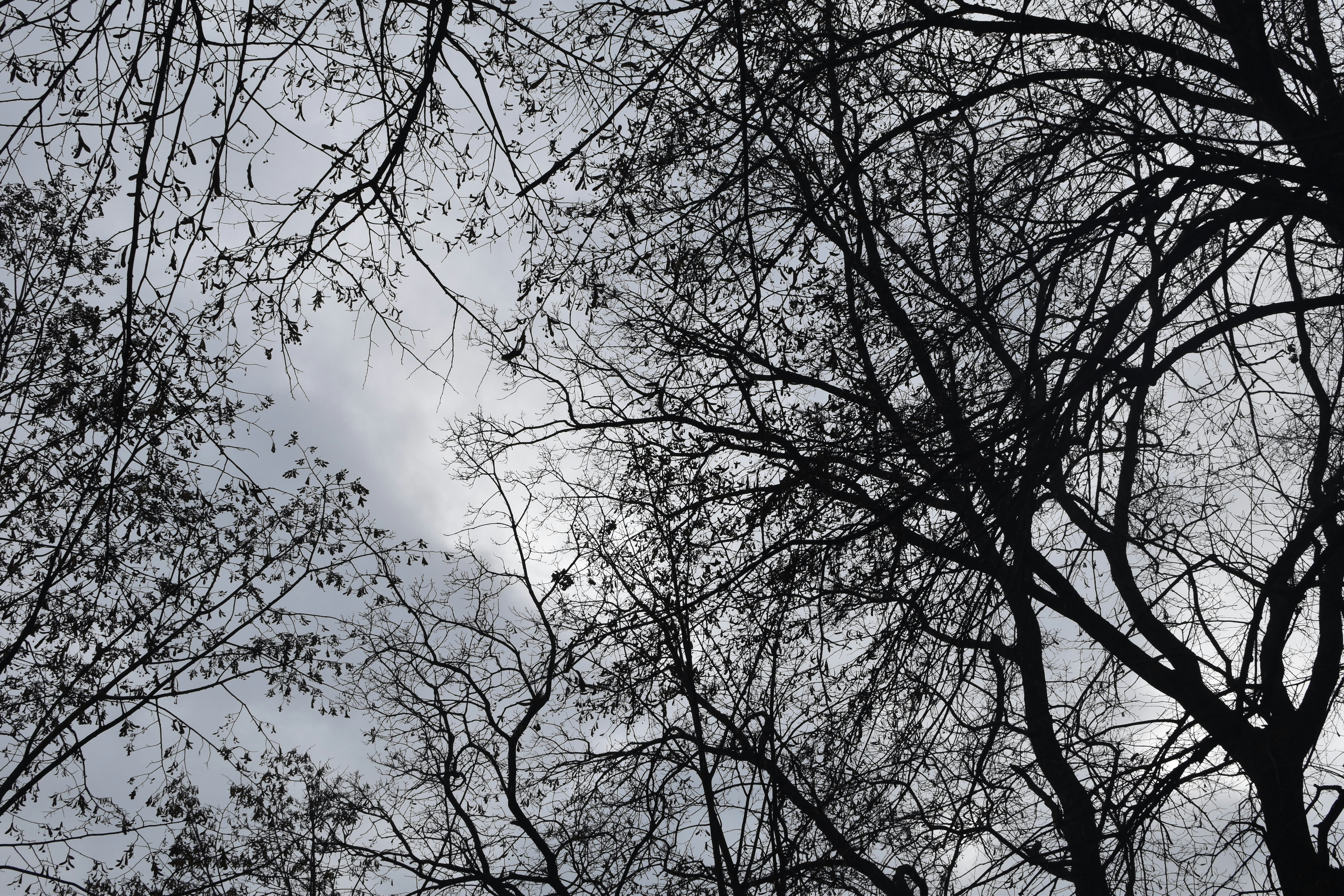 Photo by december_elegy