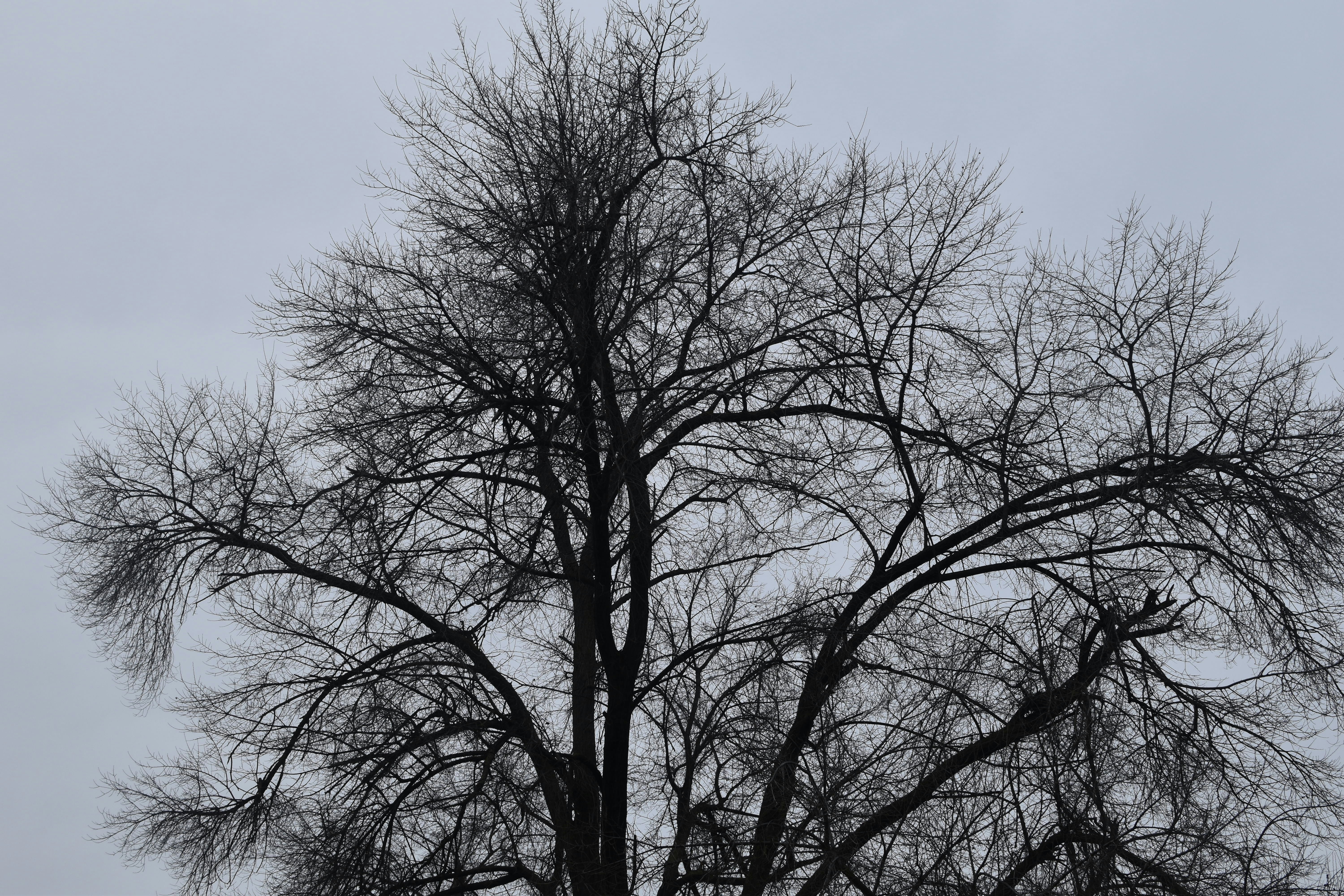 Photo by december_elegy