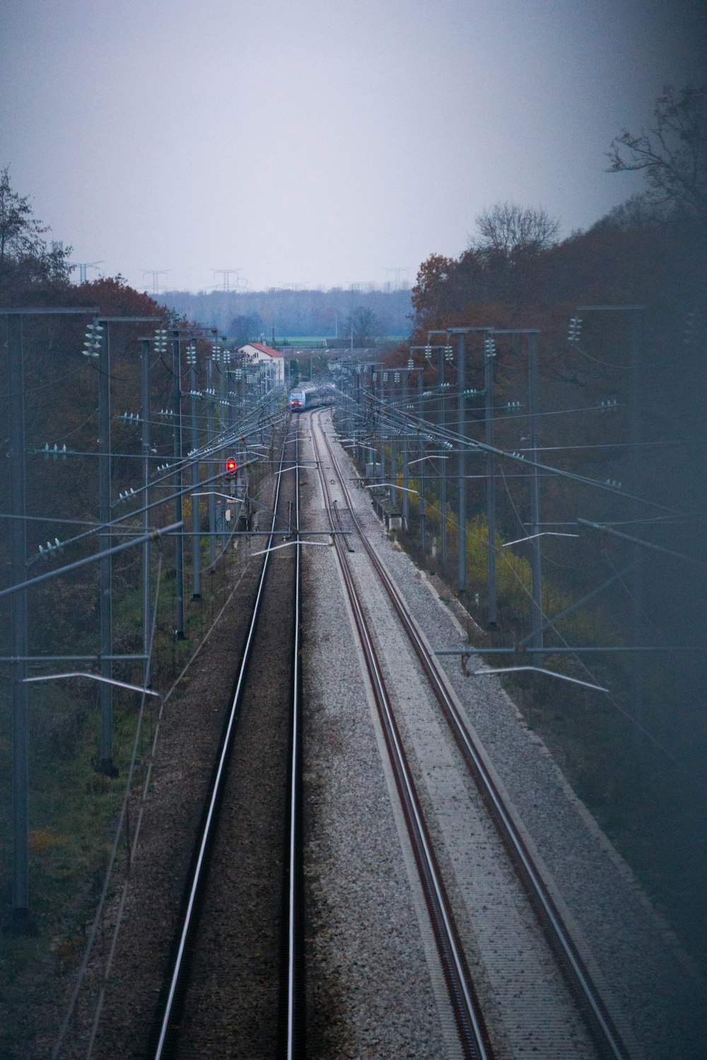 a train traveling down train tracks next to a forest