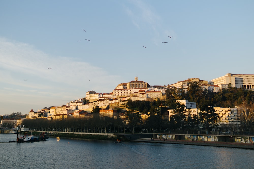 a body of water with a city in the background