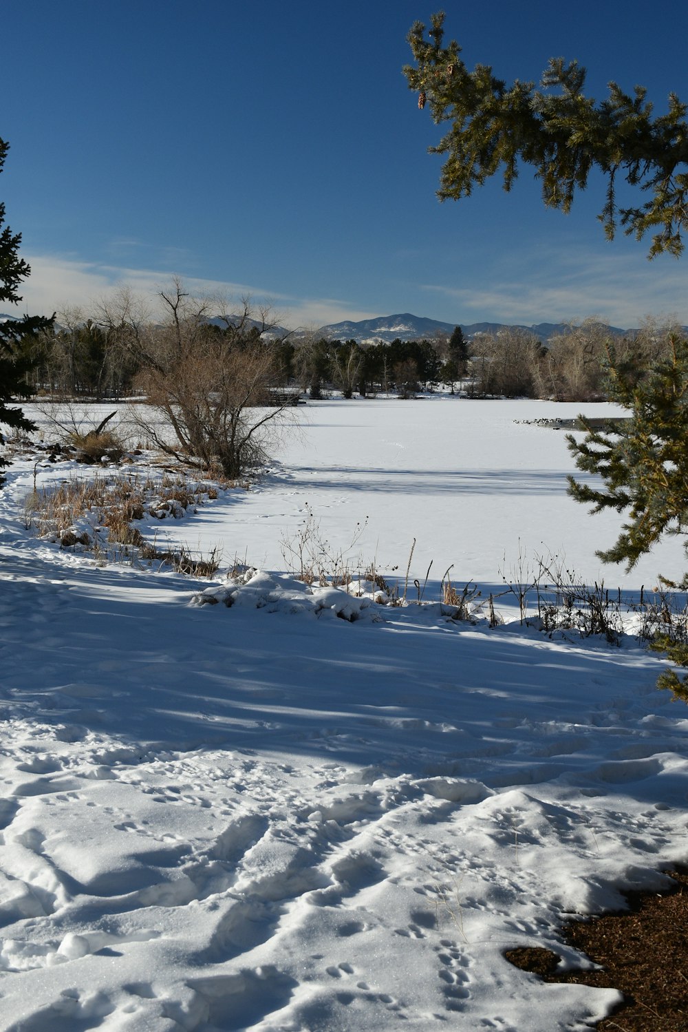 a snow covered field with trees in the background