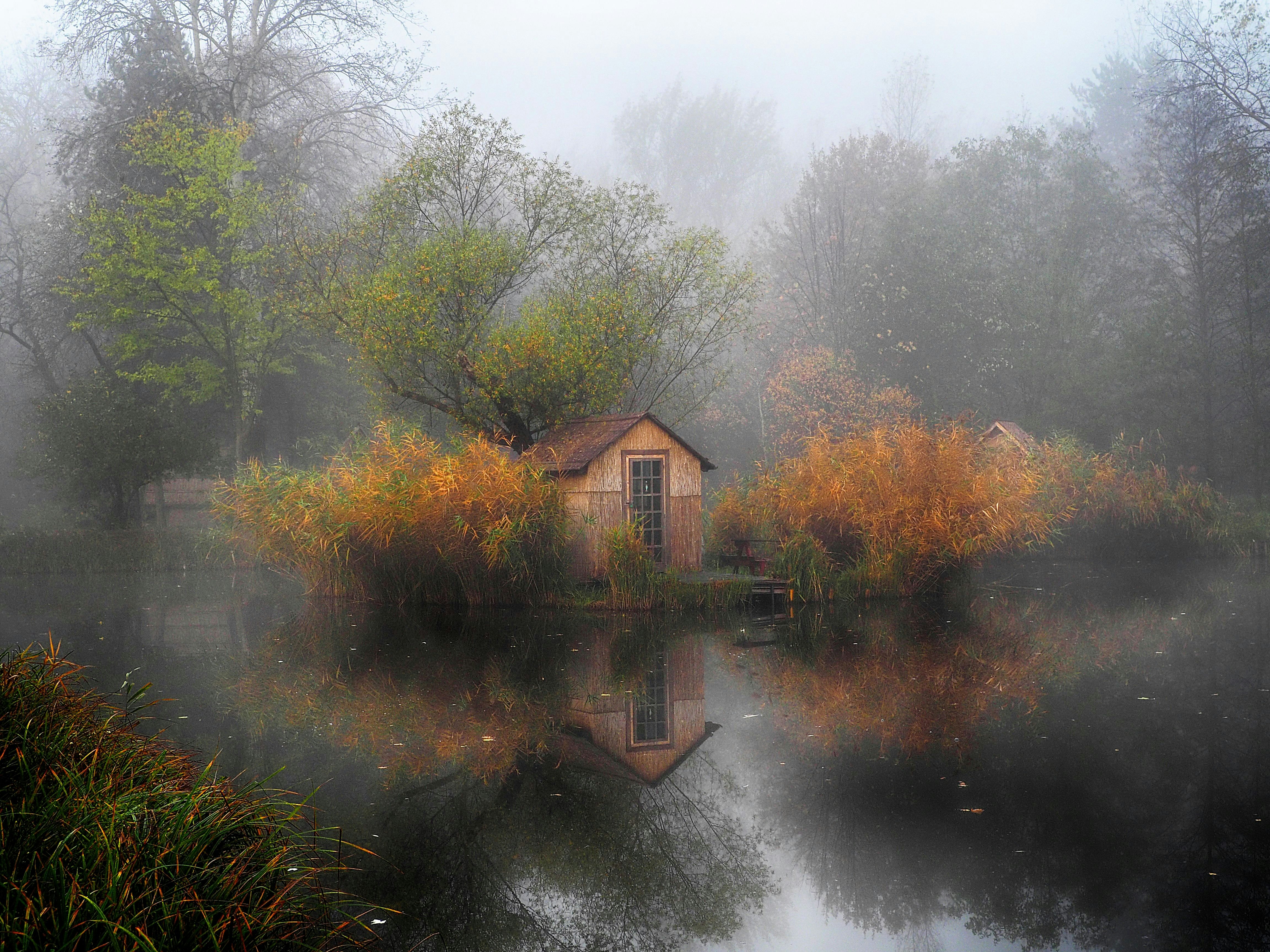 Tresco, United Kingdom - Lakeland 2