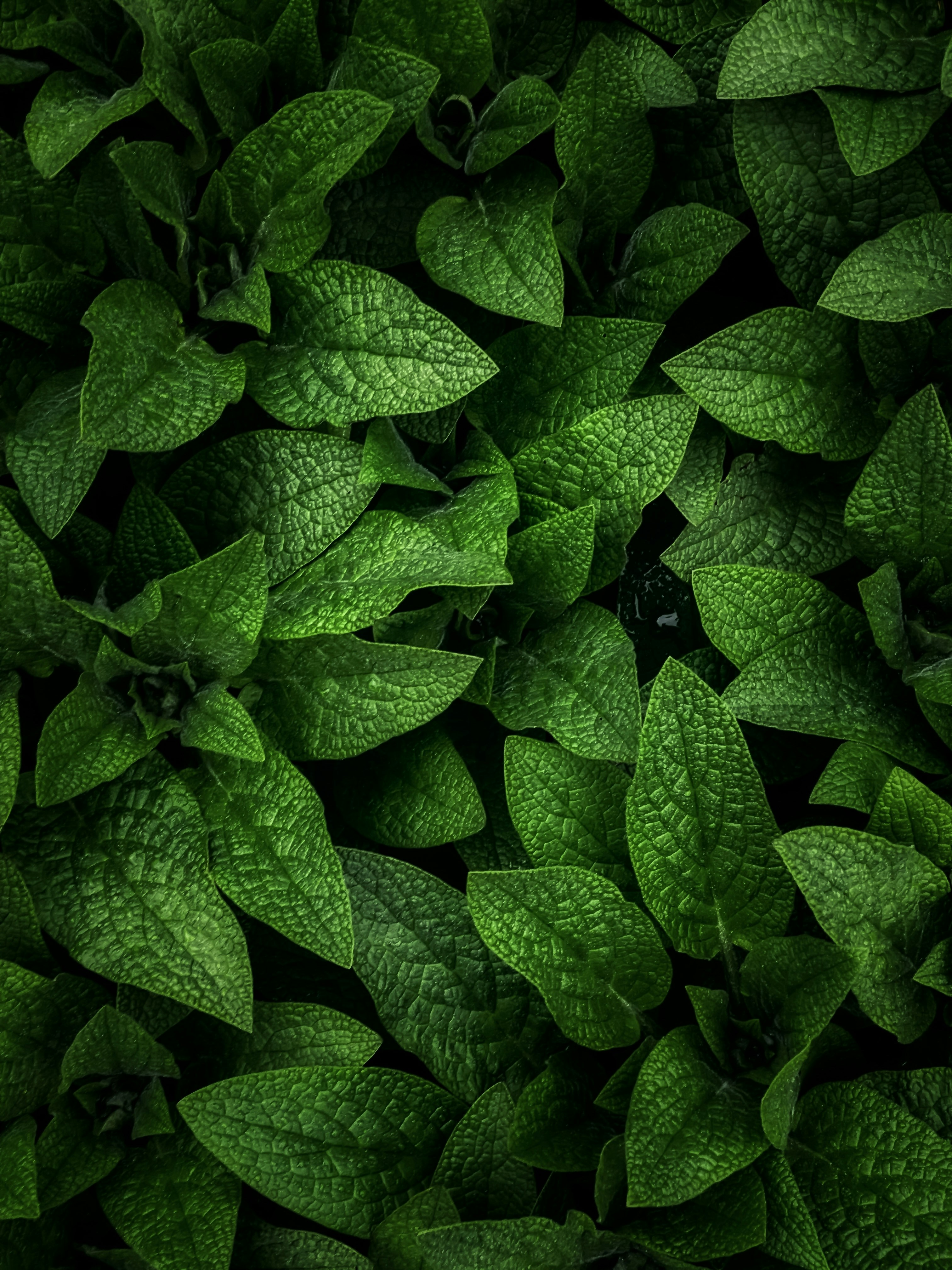 Photo by eugene_golovesov