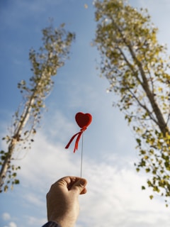 a person holding a red heart shaped pin