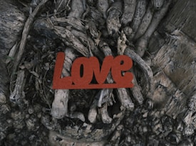 The image features a natural setting with intertwined roots or branches of a tree. Among these roots is a prominent centerpiece&mdash;a red-brown word 'Love' in a bold, stylized font. The texture of the roots contrasts with the smooth, matte surface of the word, creating a stark visual juxtaposition.