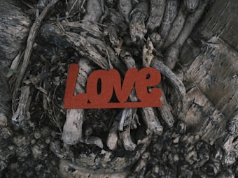 The image features a natural setting with intertwined roots or branches of a tree. Among these roots is a prominent centerpiece&mdash;a red-brown word 'Love' in a bold, stylized font. The texture of the roots contrasts with the smooth, matte surface of the word, creating a stark visual juxtaposition.
