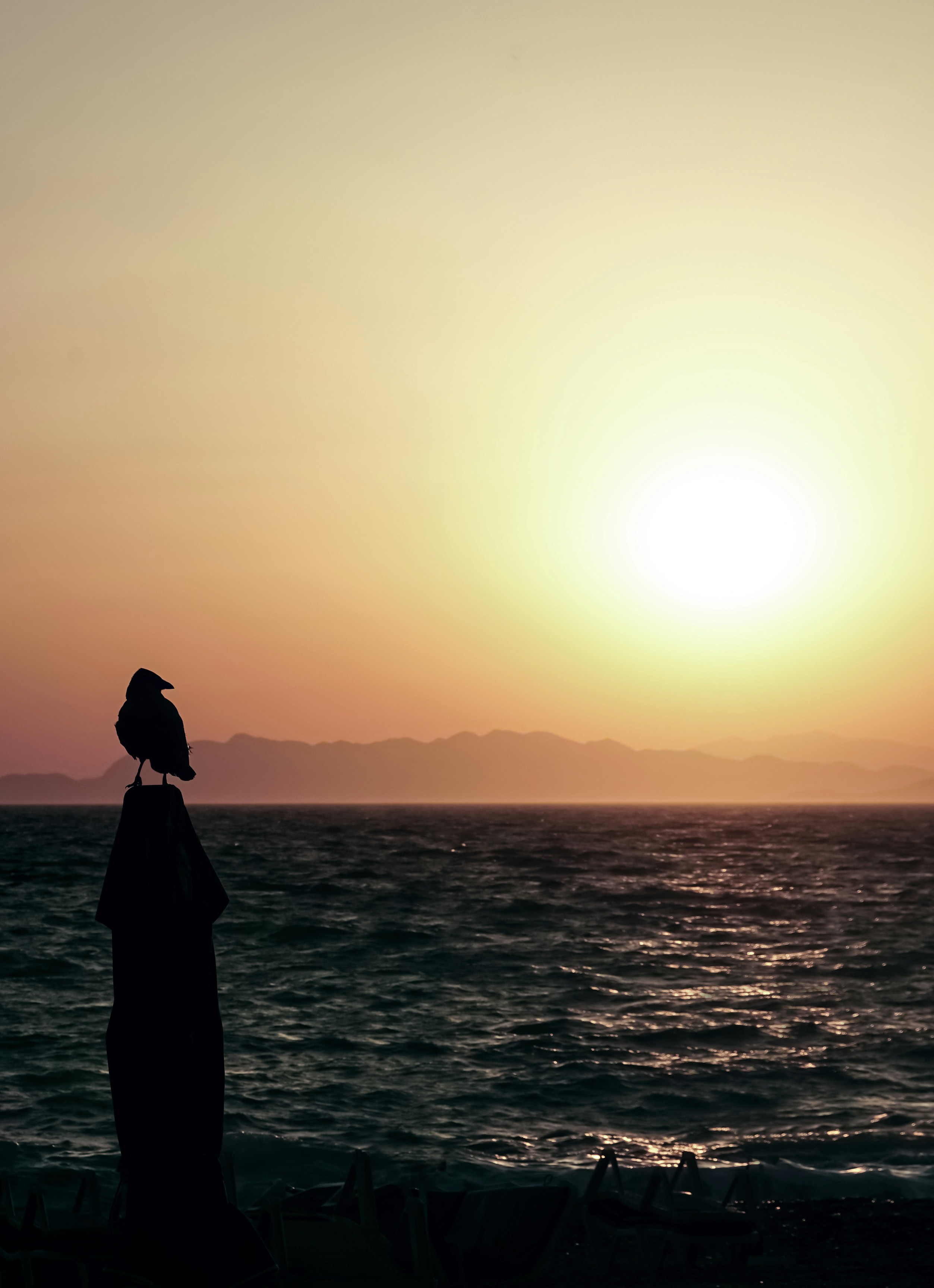 une personne debout sur une plage avec un oiseau sur la tête