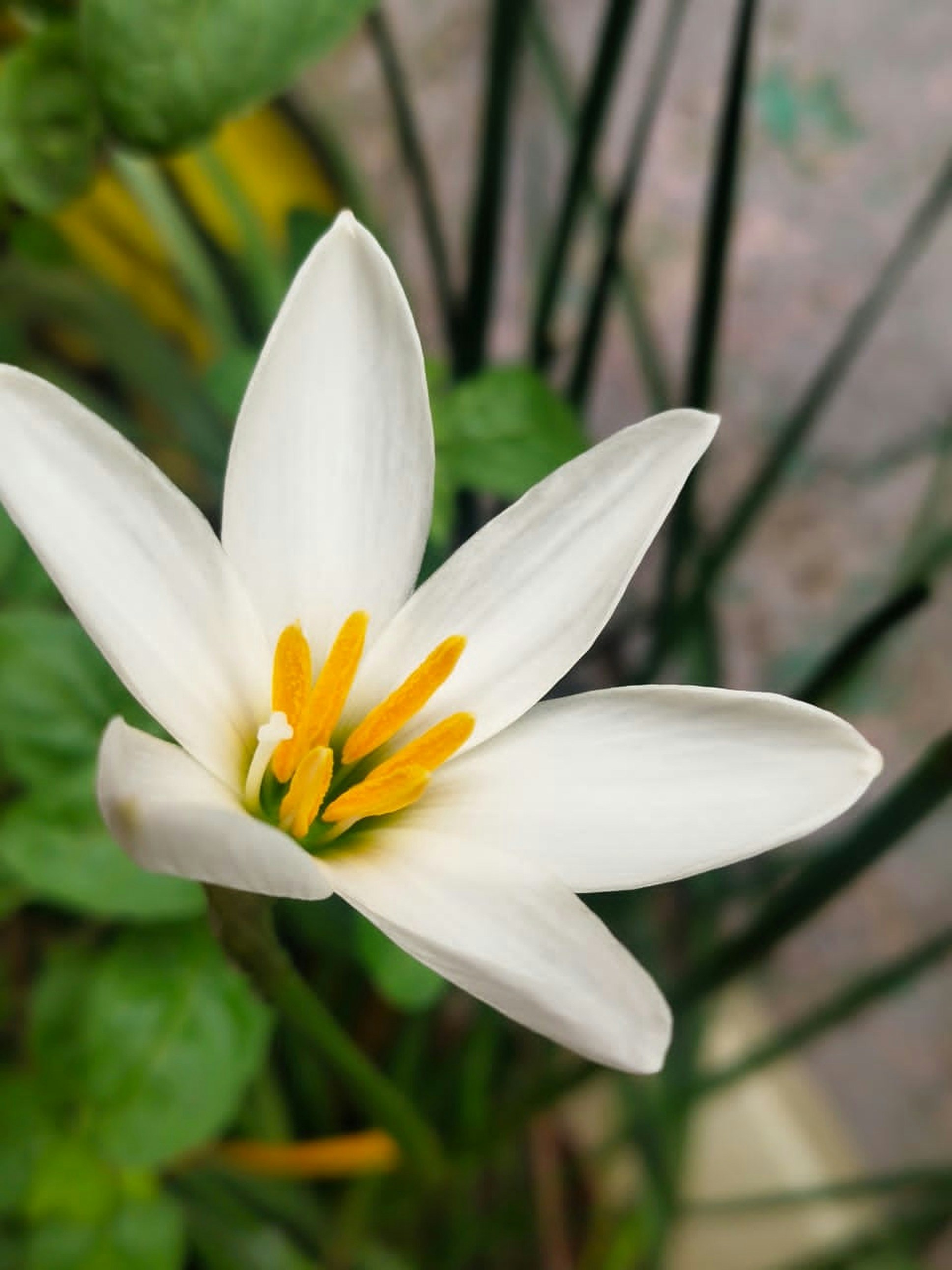 Photo by riyatilante