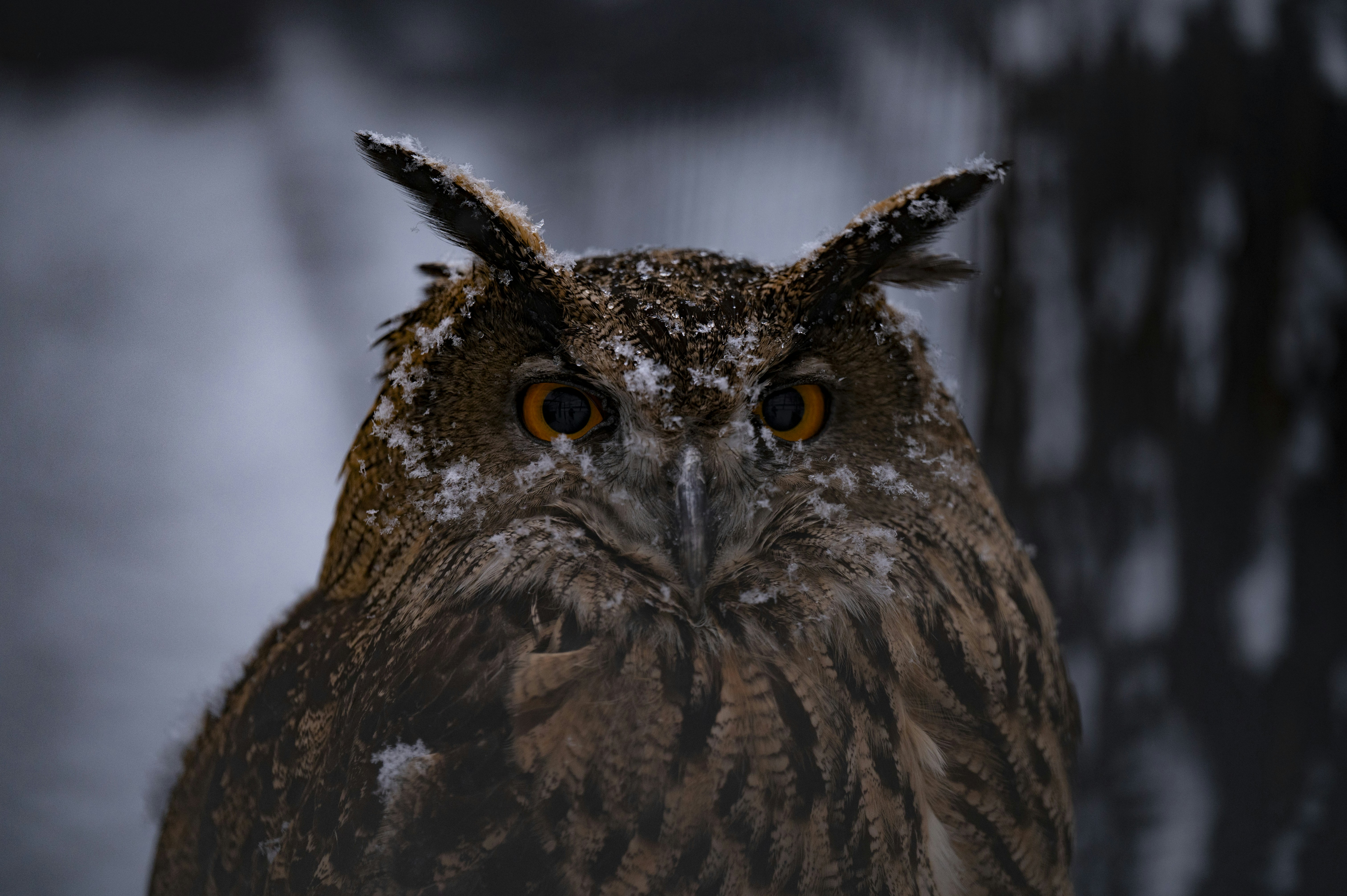 Photo by tianhao_wang