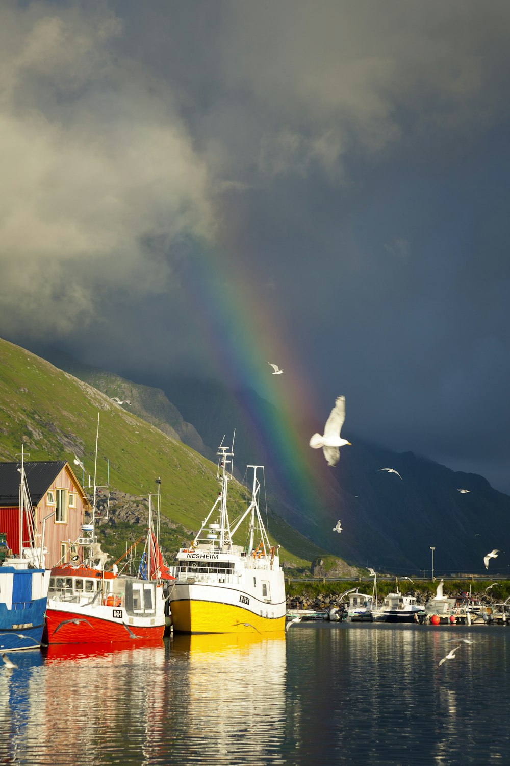 Un gruppo di barche sedute in un porto sotto un arcobaleno