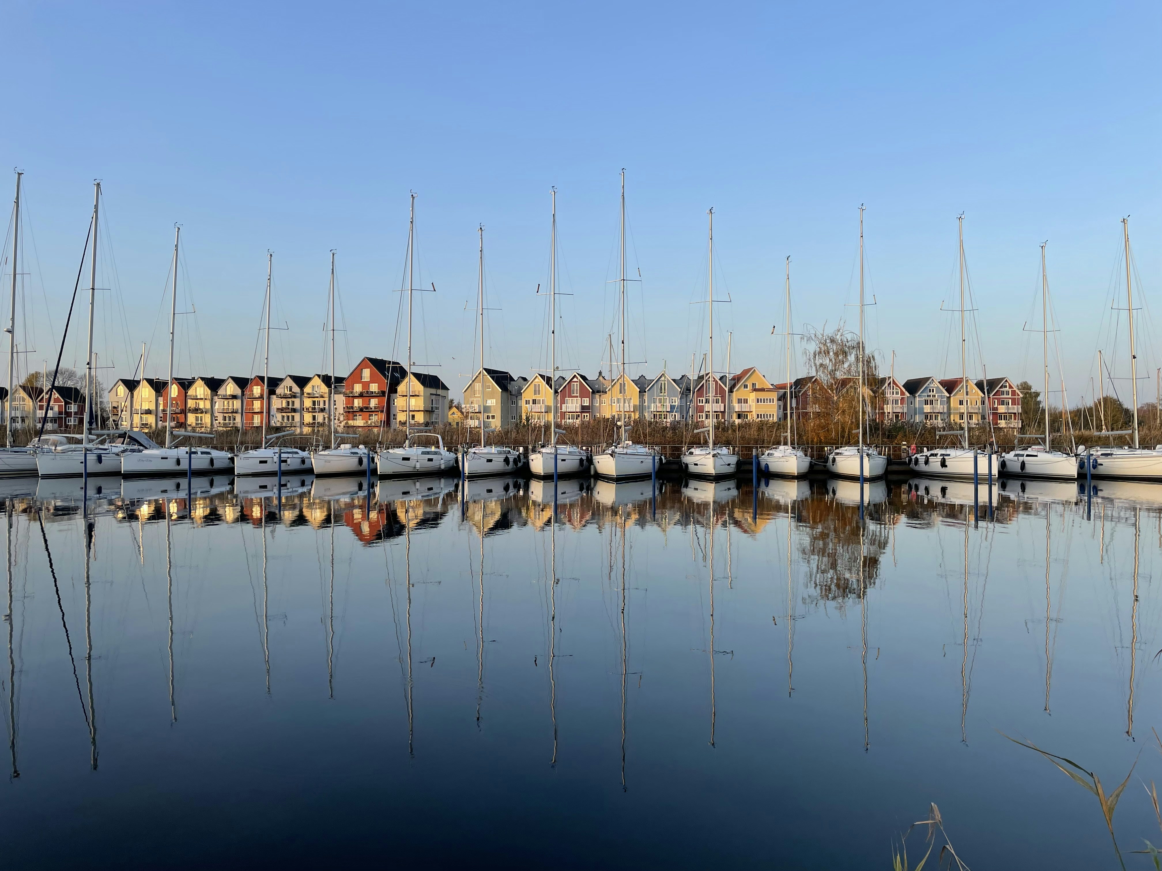 Photo by theodor_jacob