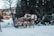 A cozy horse-drawn sleigh gliding over fresh snow with joyful travelers wrapped in warm blankets.