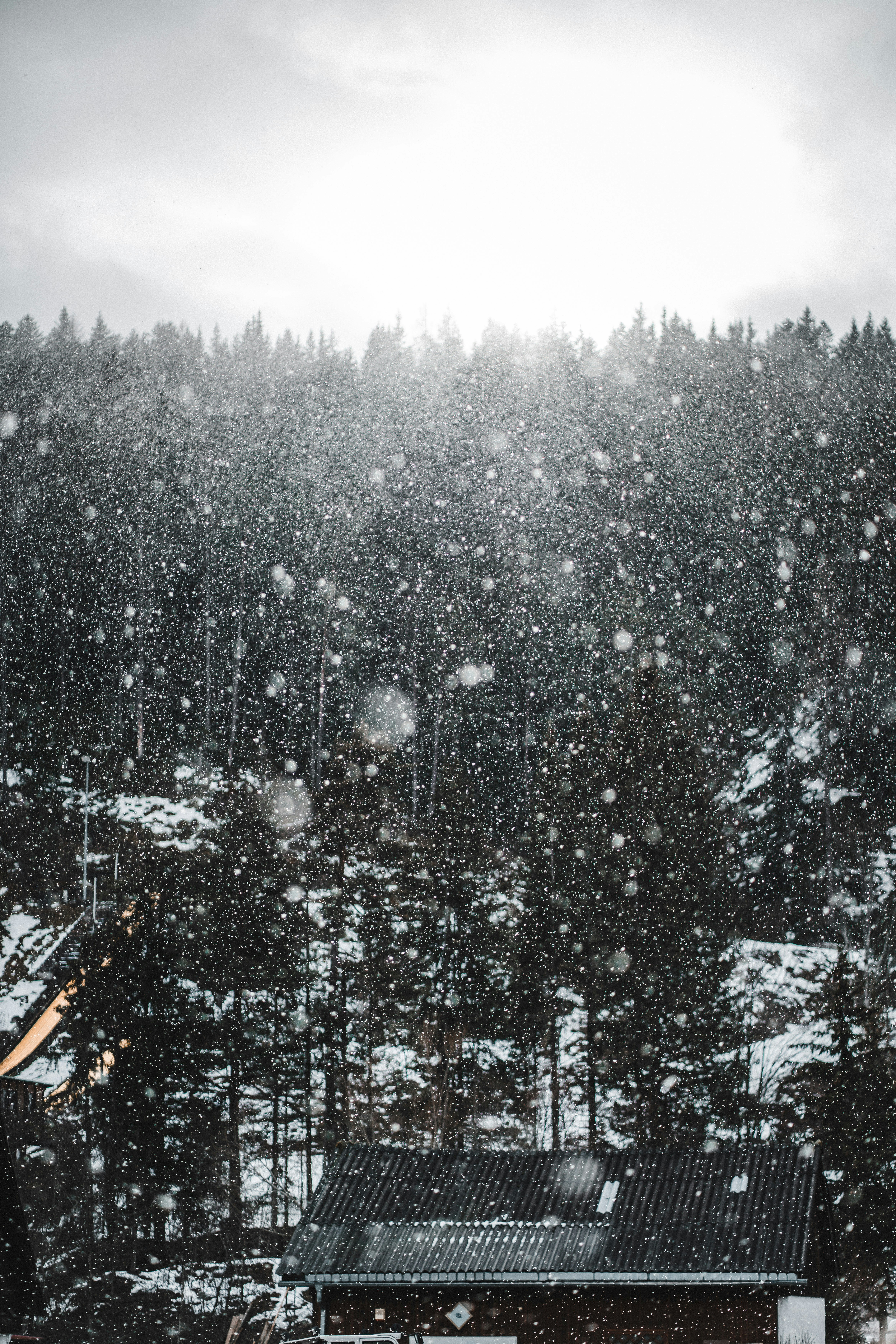 8 Best Winter Sports Photography Tips to Capture Stunning Snow Shots