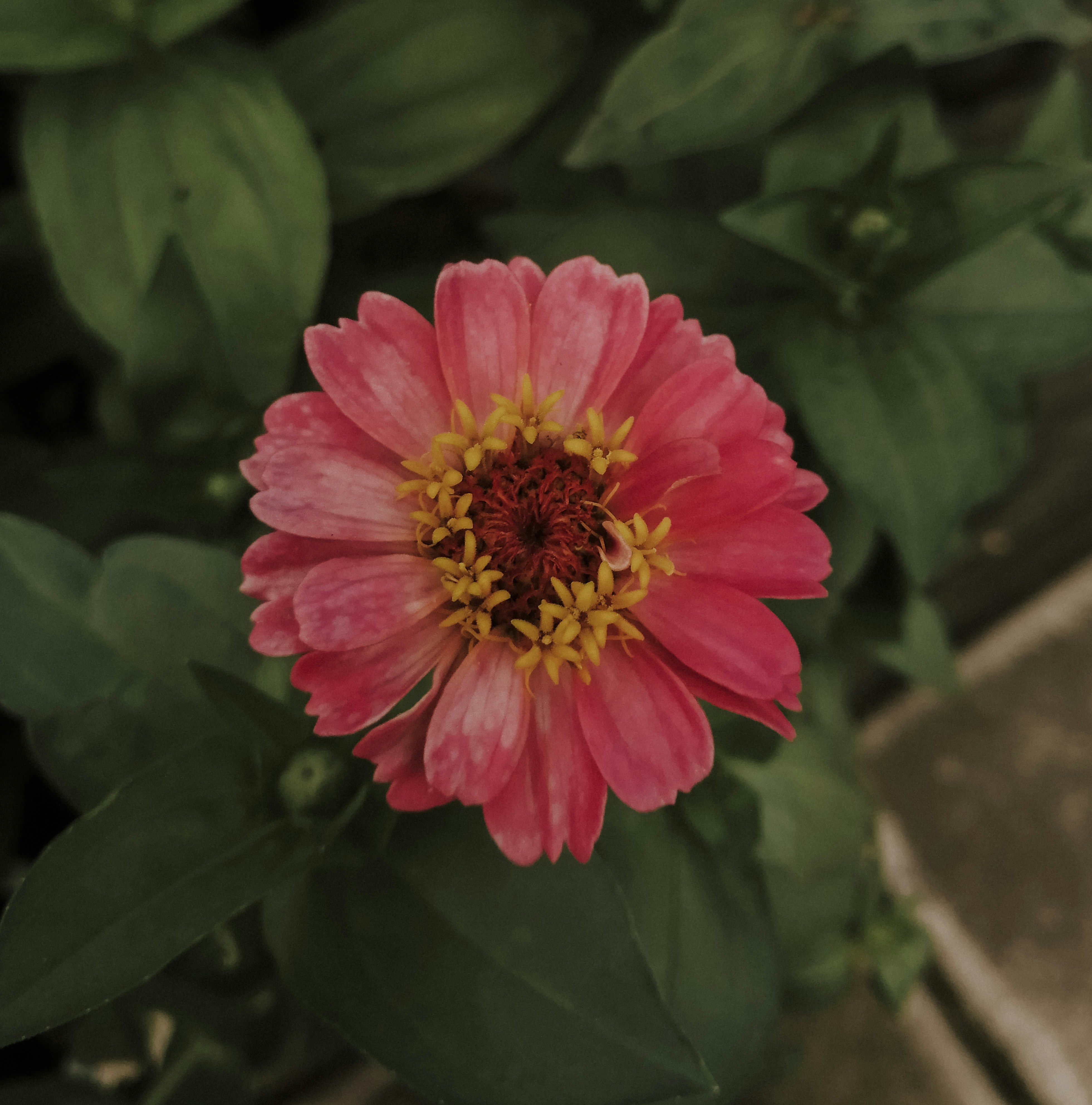 Photo by sonflower_23