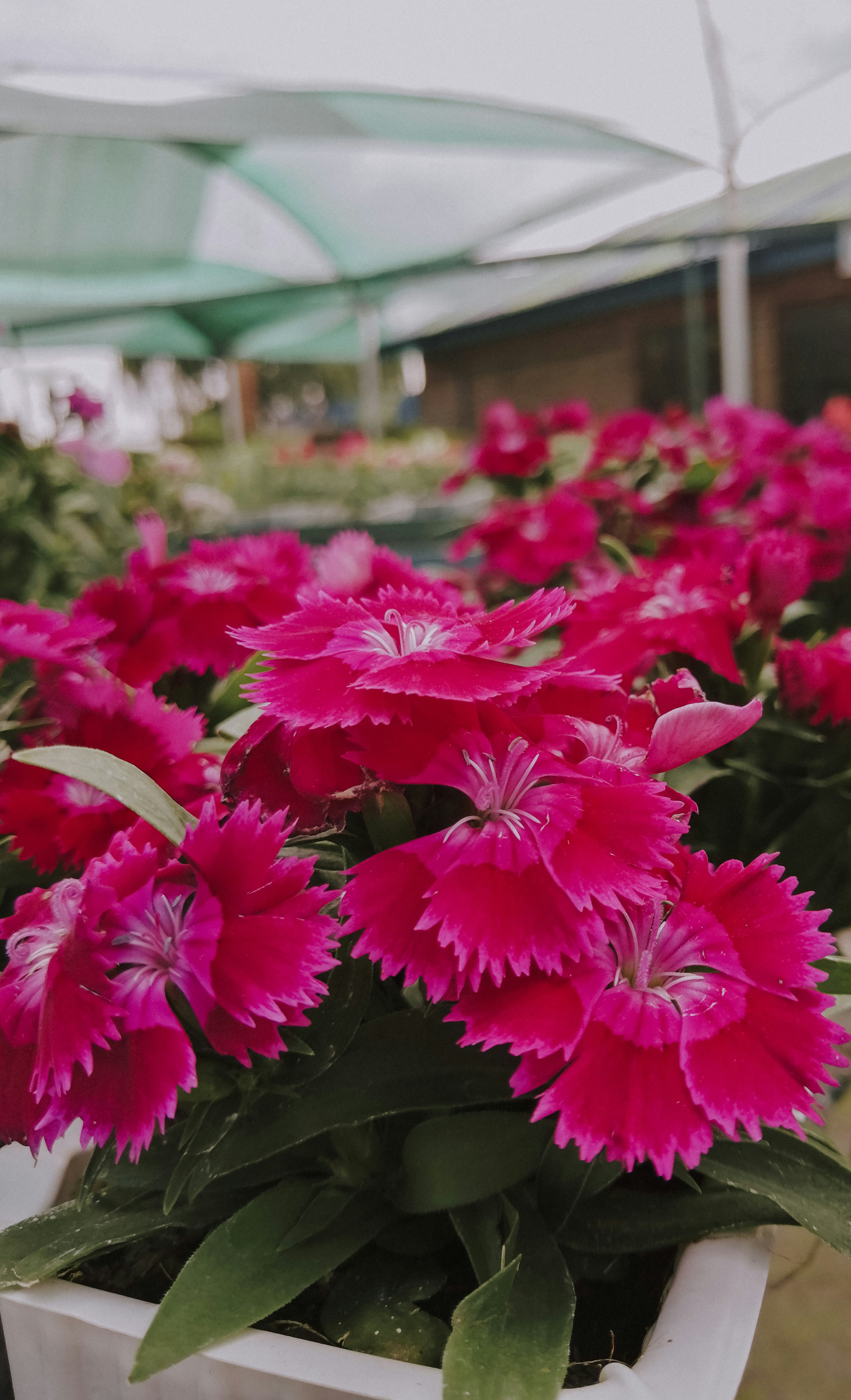 Photo by sonflower_23