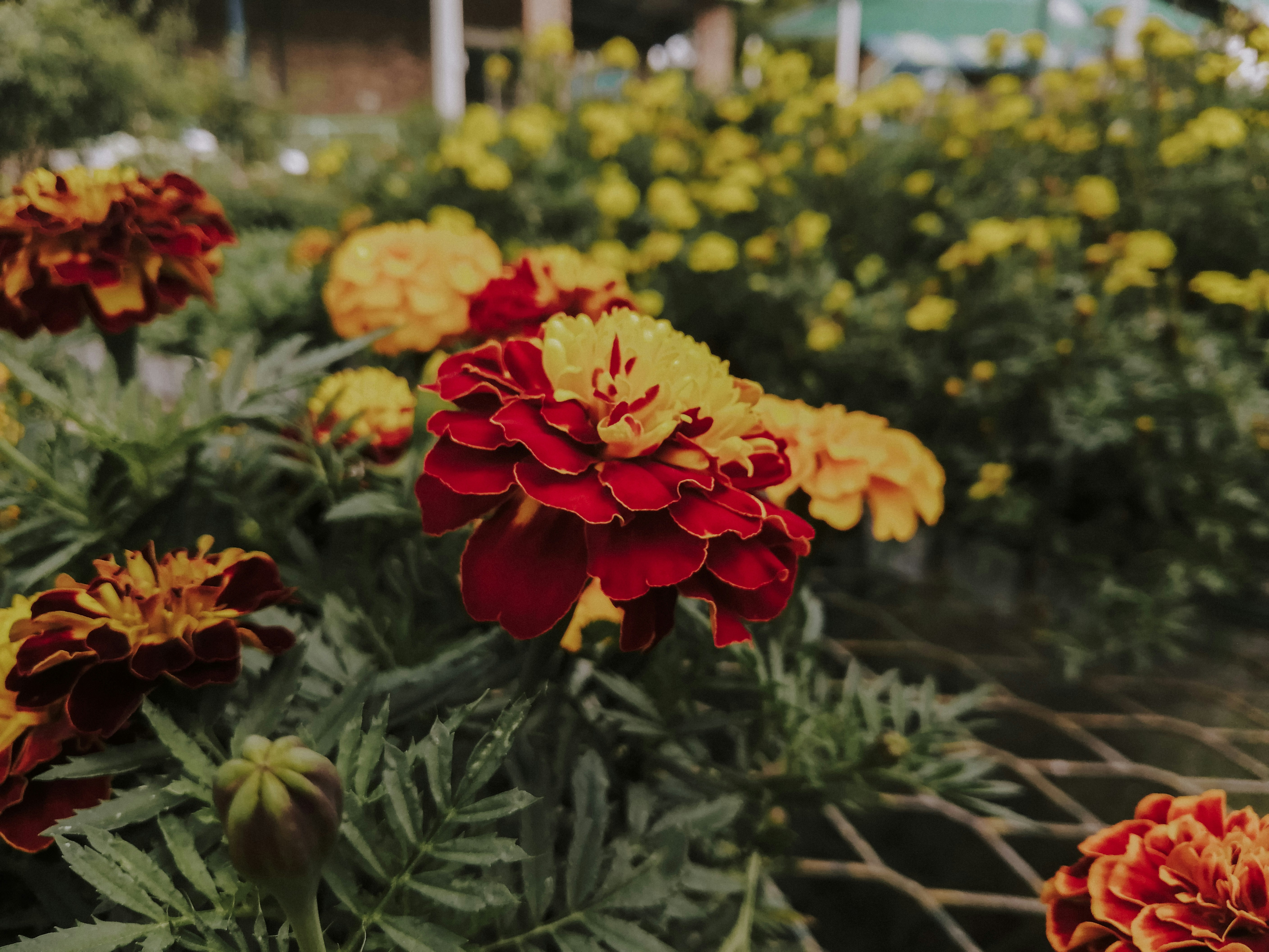 Photo by sonflower_23