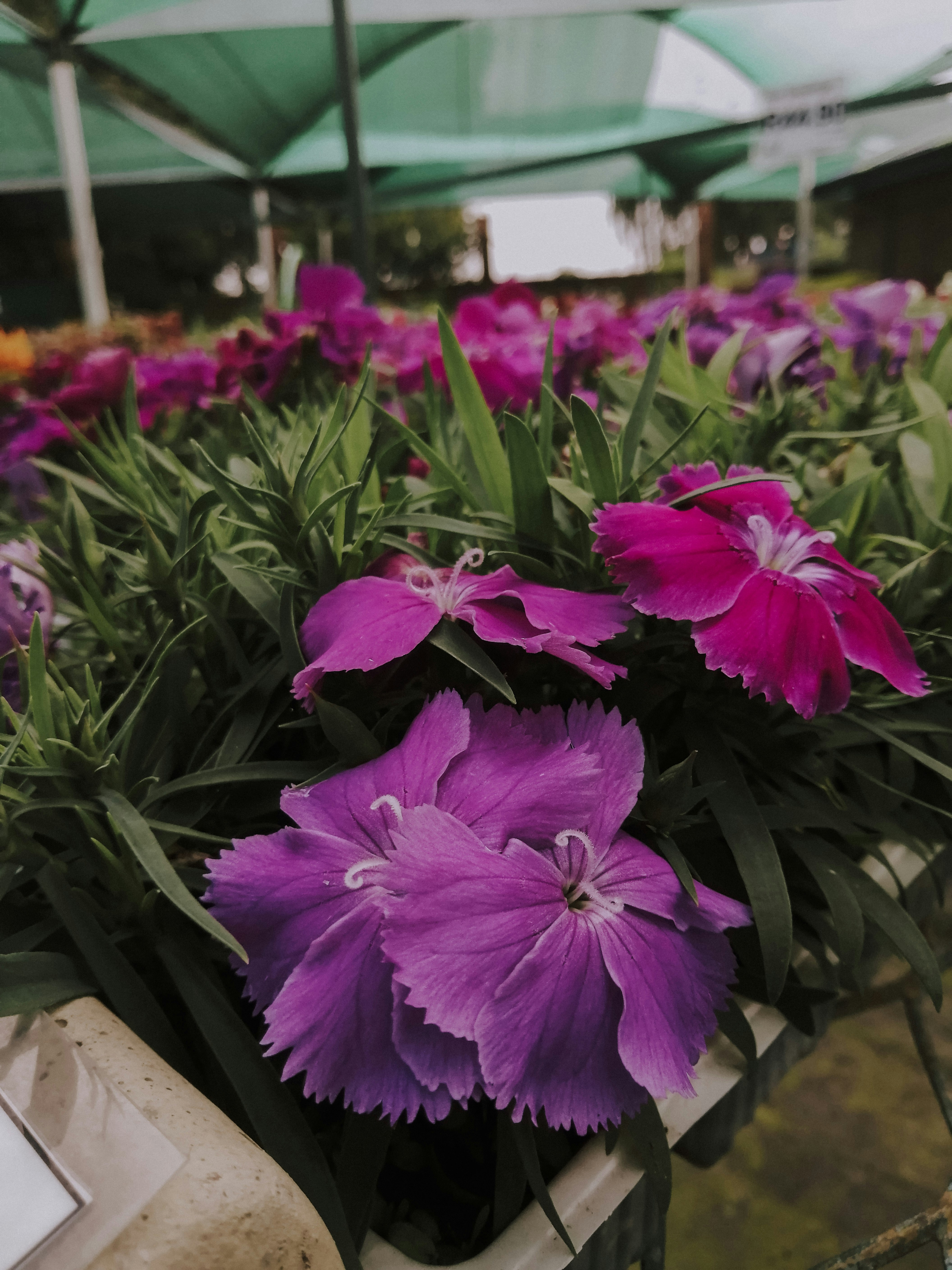 Photo by sonflower_23