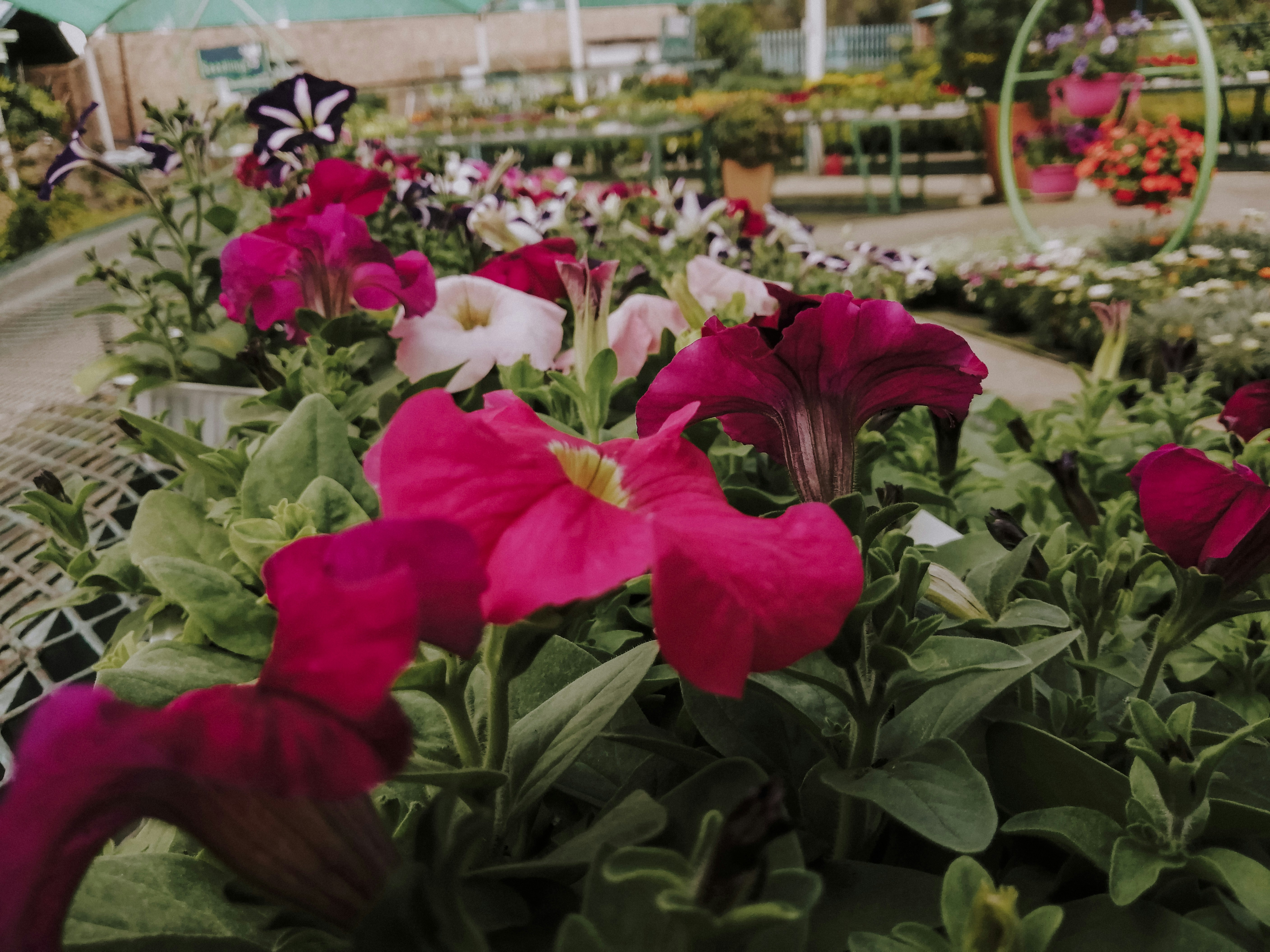 Photo by sonflower_23