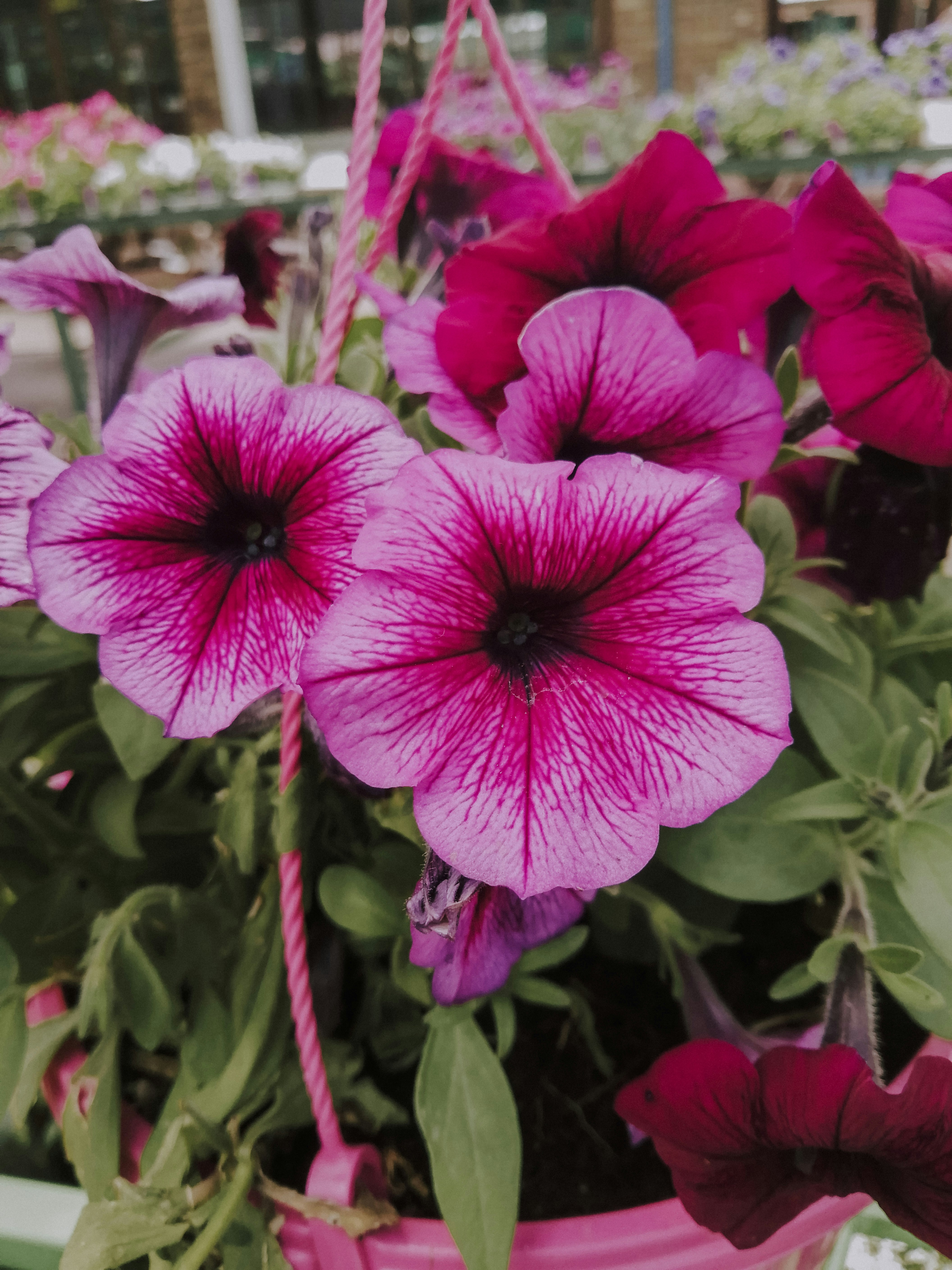 Photo by sonflower_23