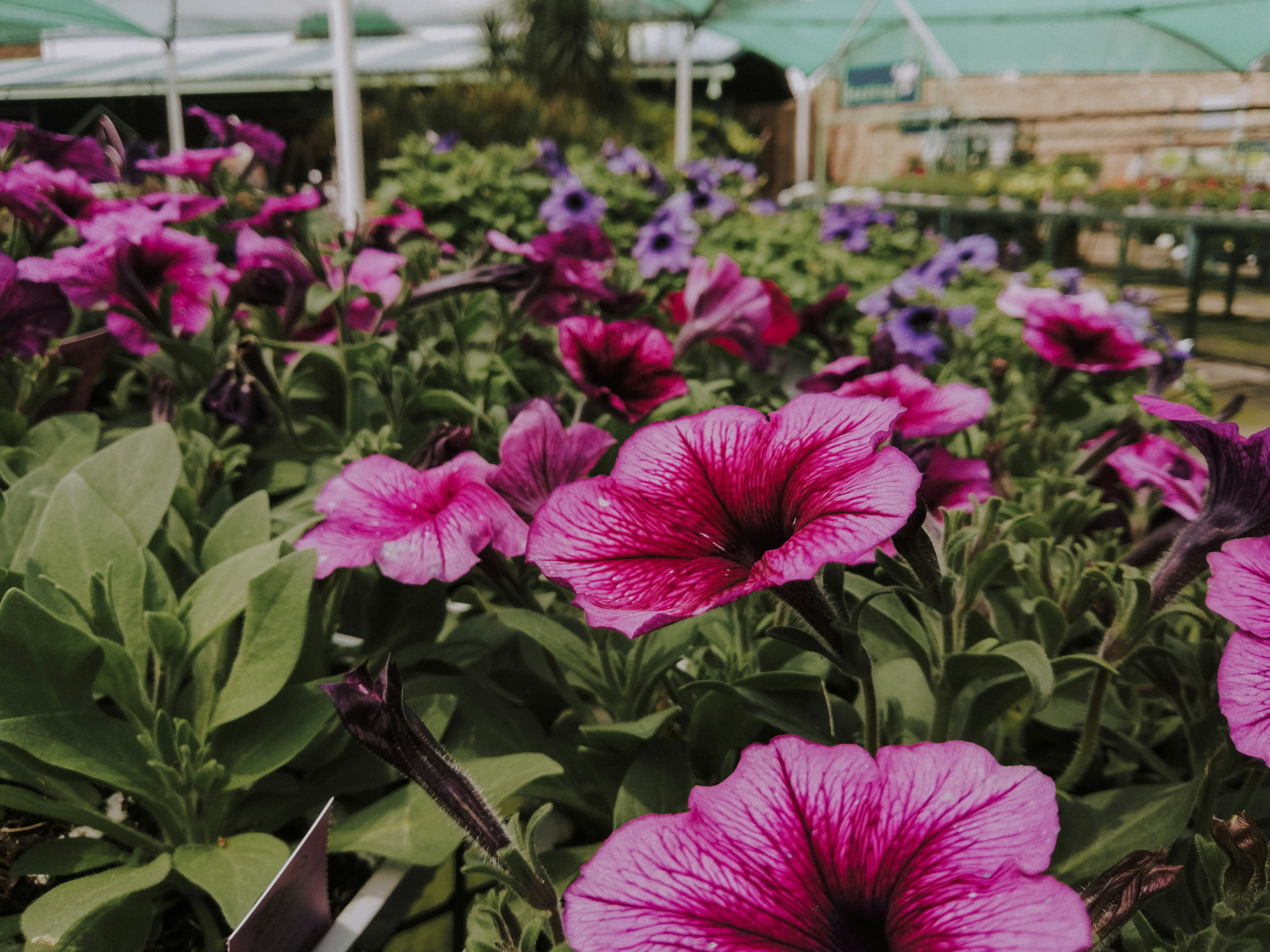 Photo by sonflower_23