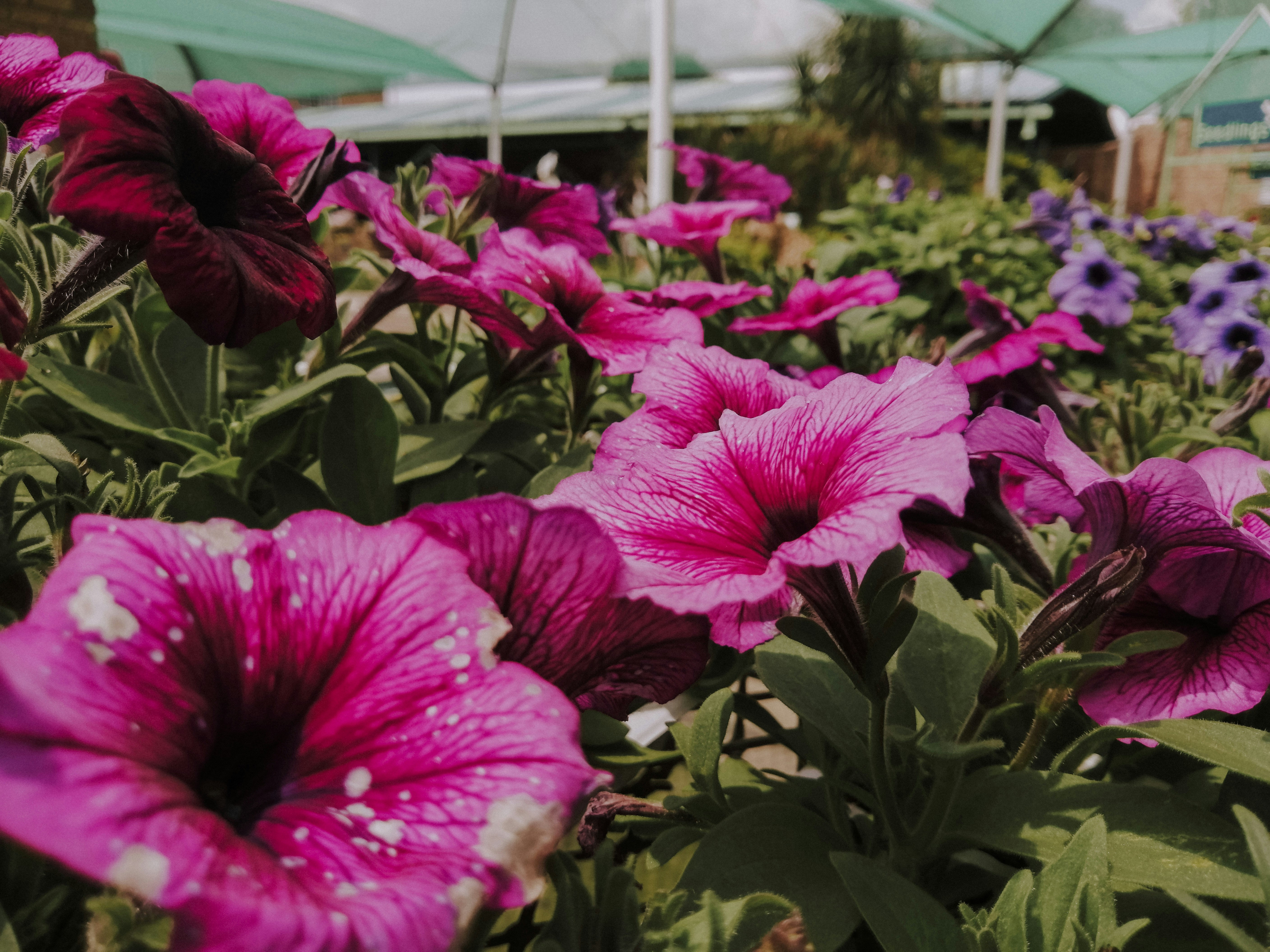 Photo by sonflower_23