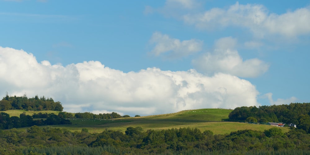 a grassy hill with trees and clouds in the background