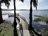 a wooden dock sitting next to a body of water