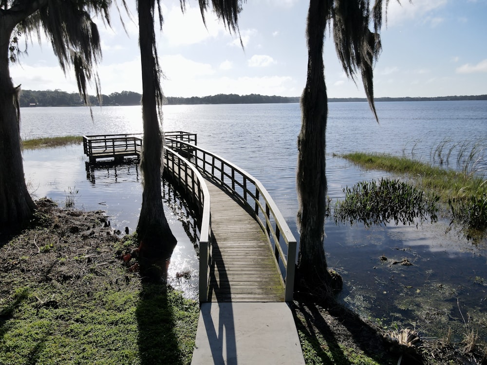 un muelle de madera sentado junto a un cuerpo de agua