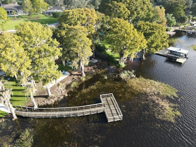 a bridge over a body of water surrounded by trees