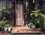 A charming cottage entrance featuring a welcome mat with a whimsical animal illustration.
