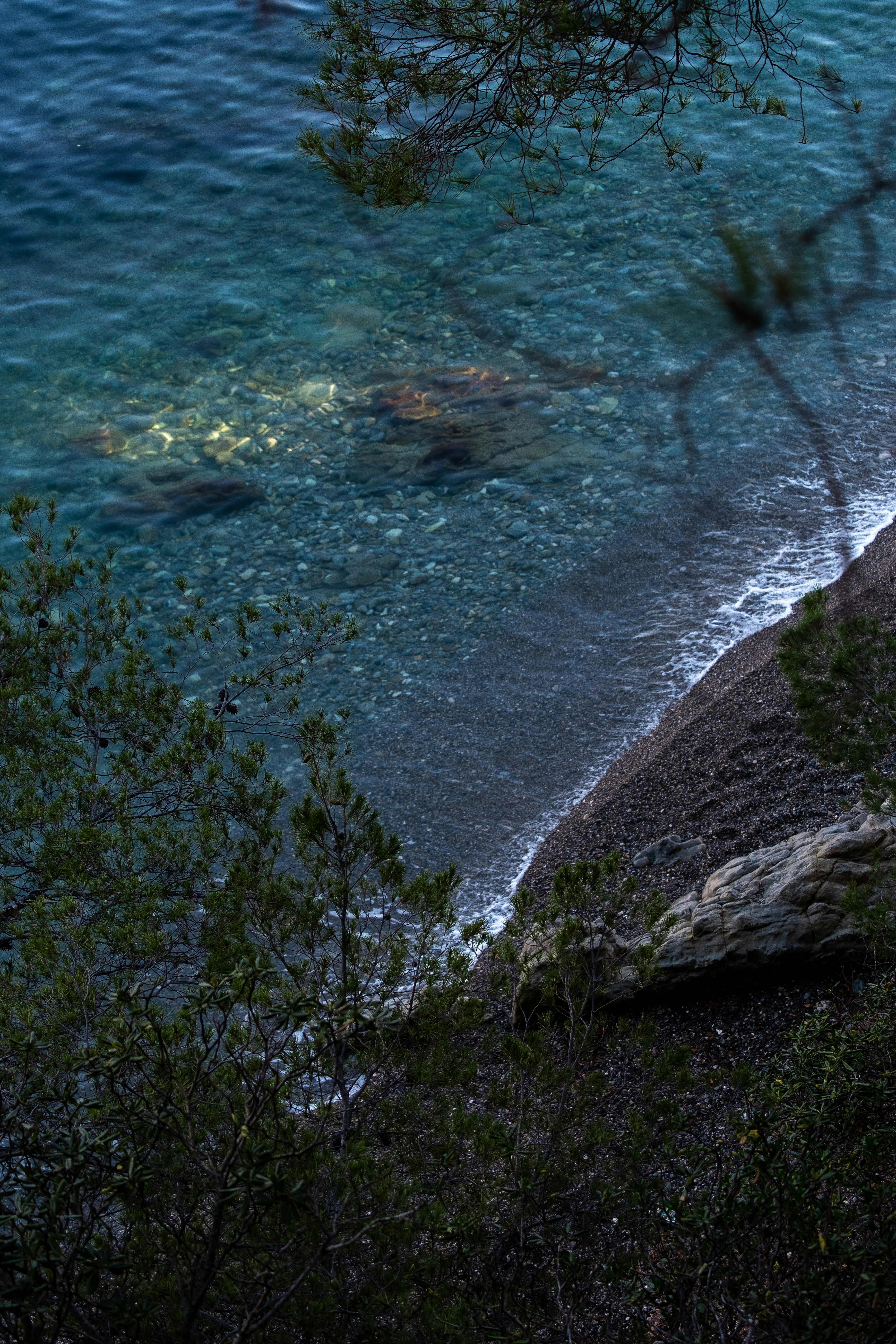 Photo by forest_tales