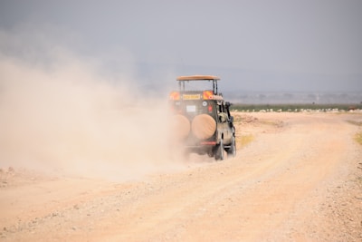 A vehicle driving along a dirt road beside undeveloped land.