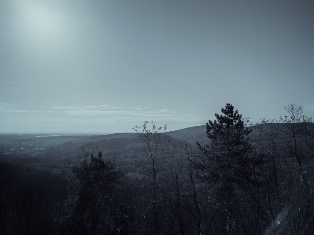 a black and white photo of trees and hills