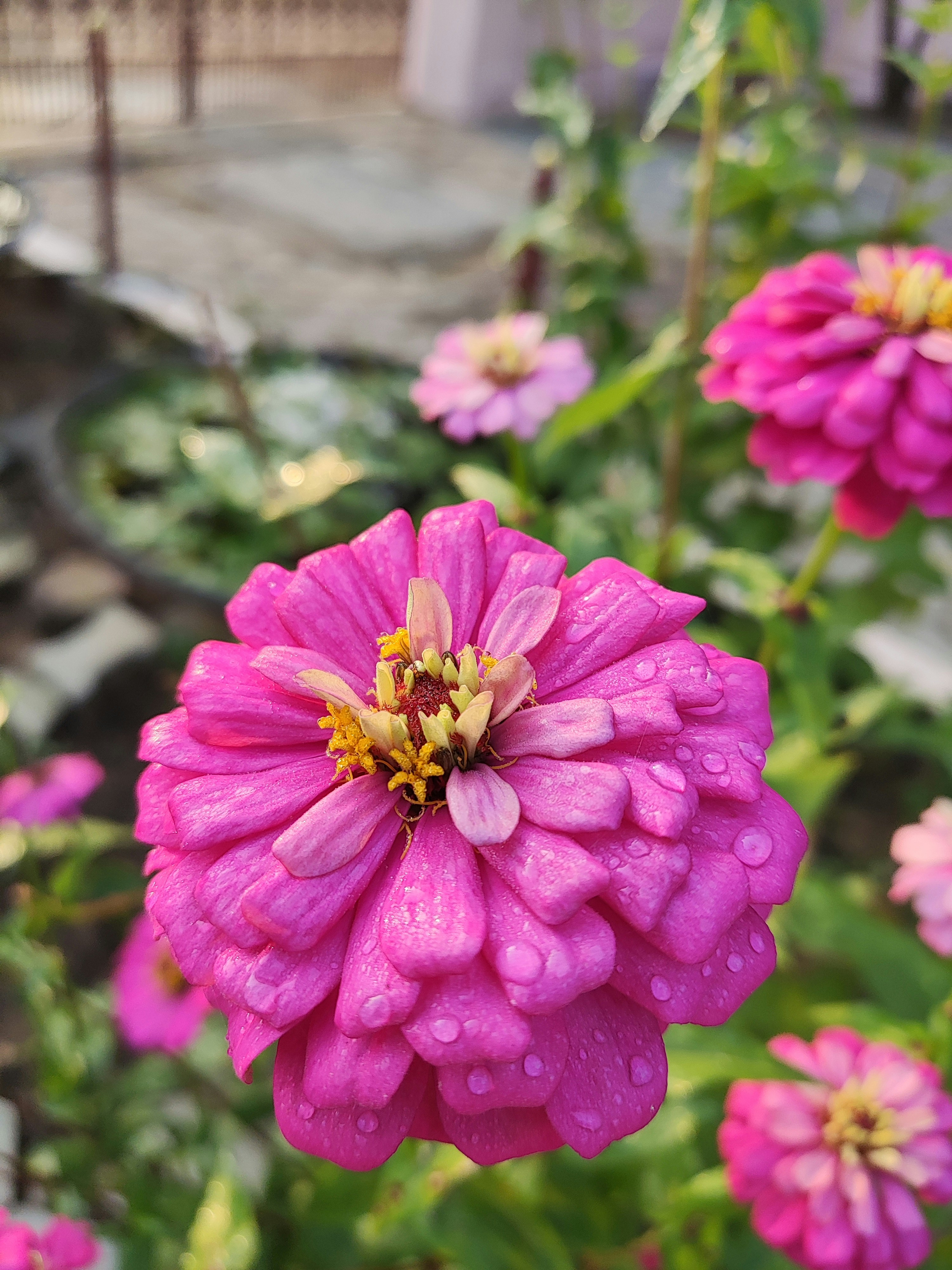 Photo by opacaro_phile