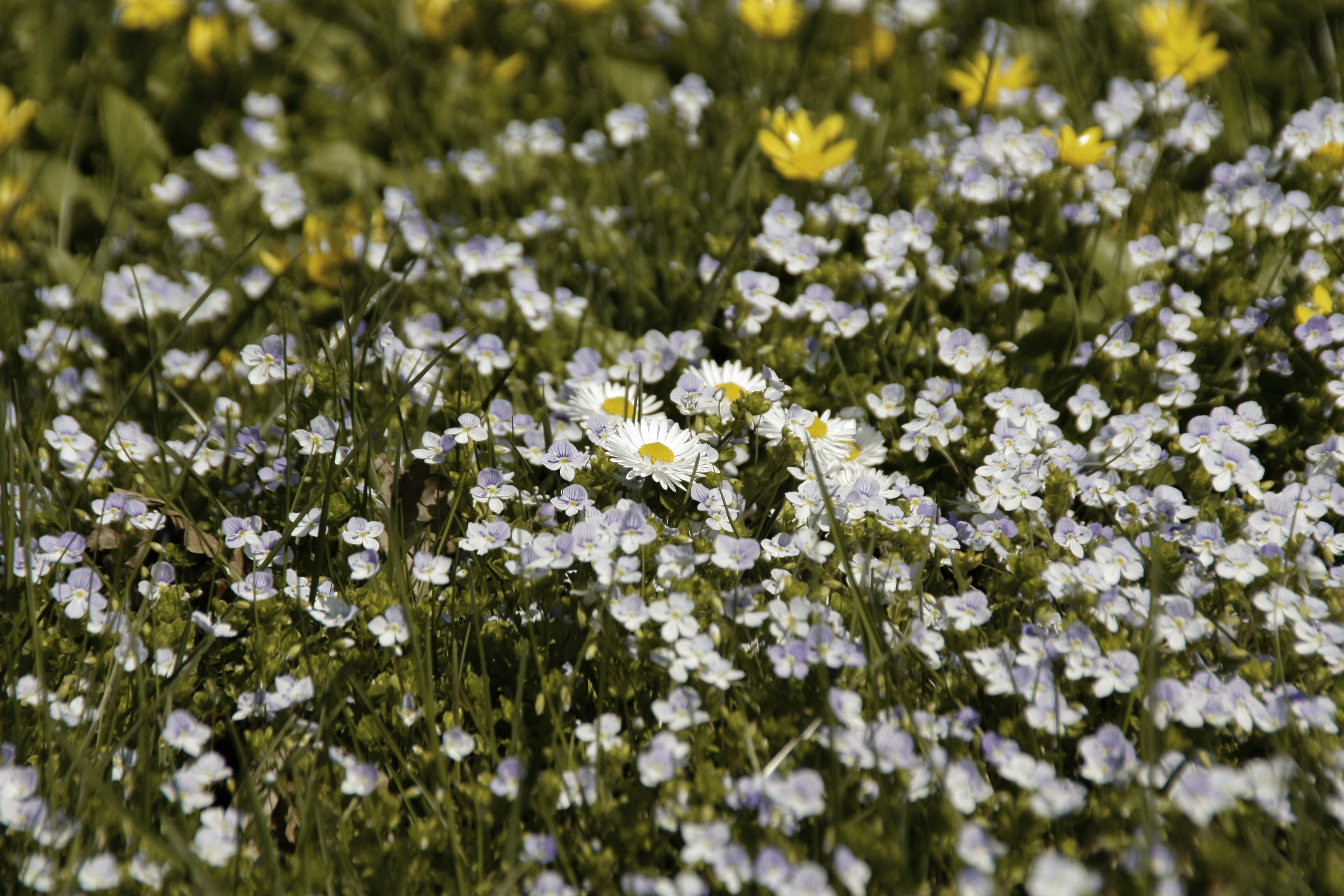 Photo by yaroslav_kush