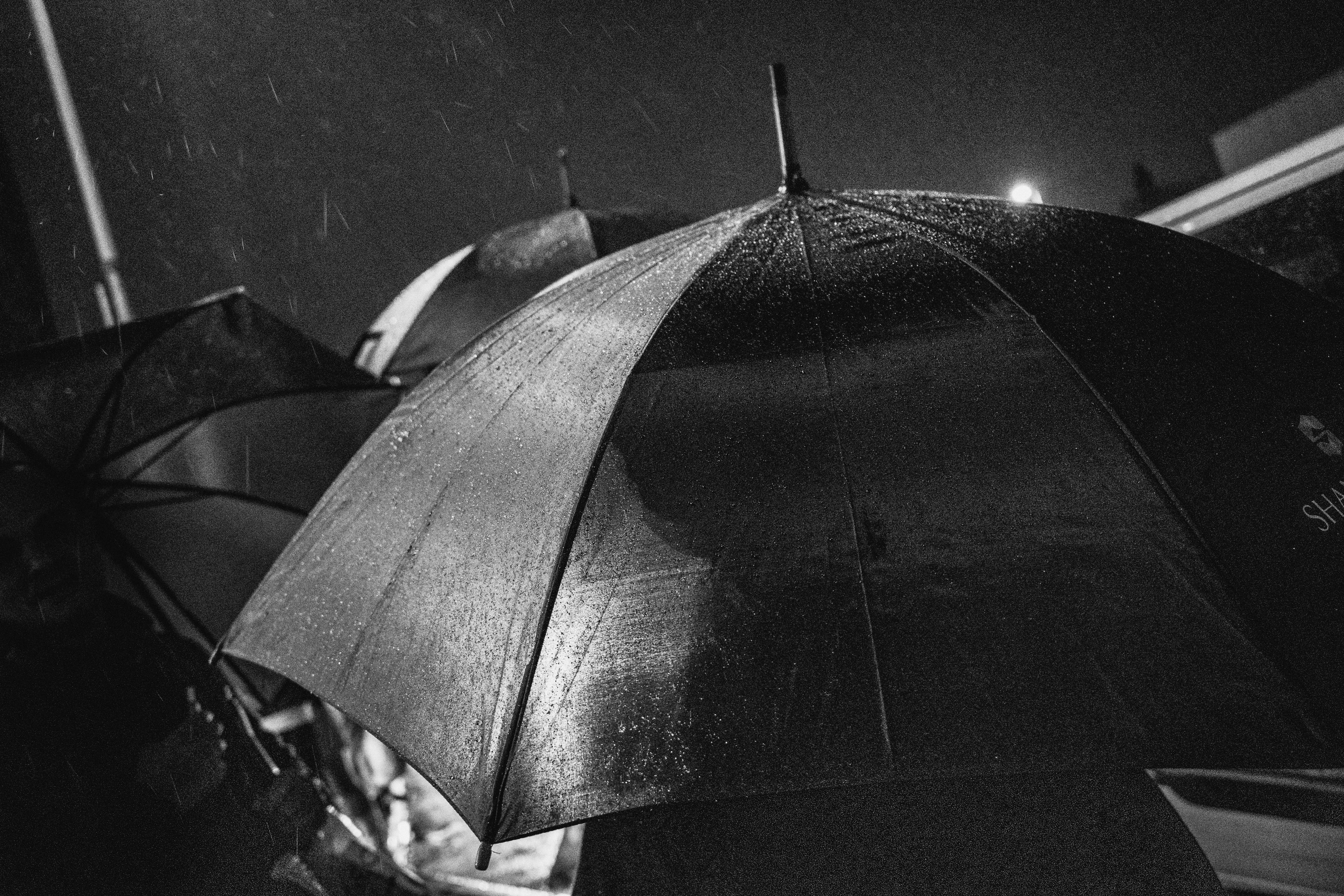a black and white photo of a person holding an umbrella