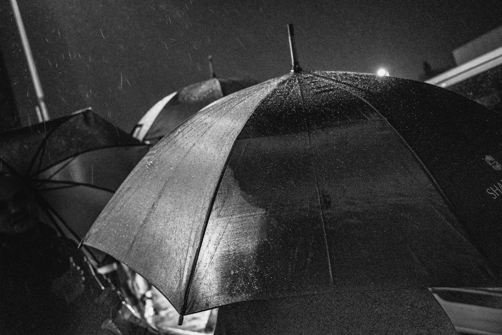 a black and white photo of a person holding an umbrella